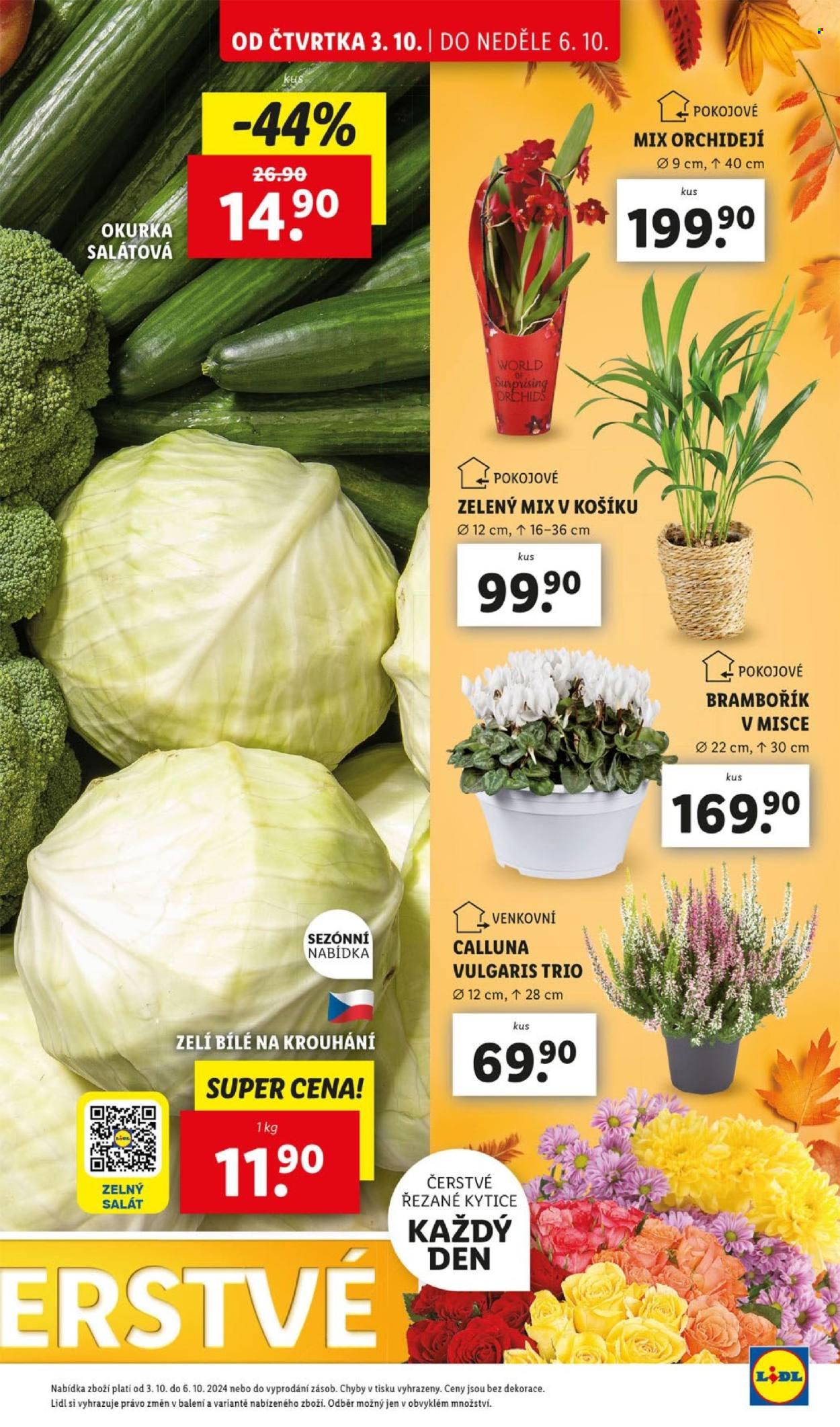 Leták Lidl - 3.10.2024 - 6.10.2024. Strana 11