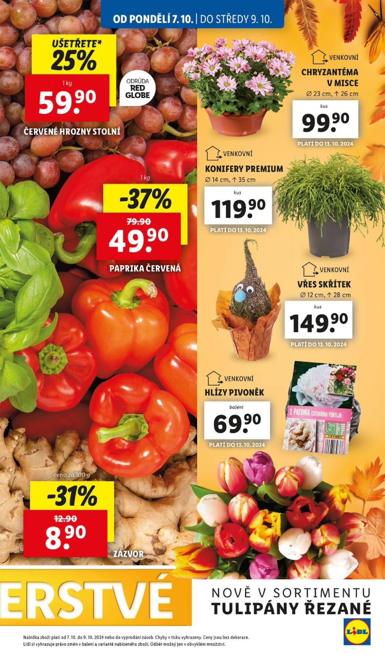 Leták Lidl - 7.10.2024 - 13.10.2024. Strana 11