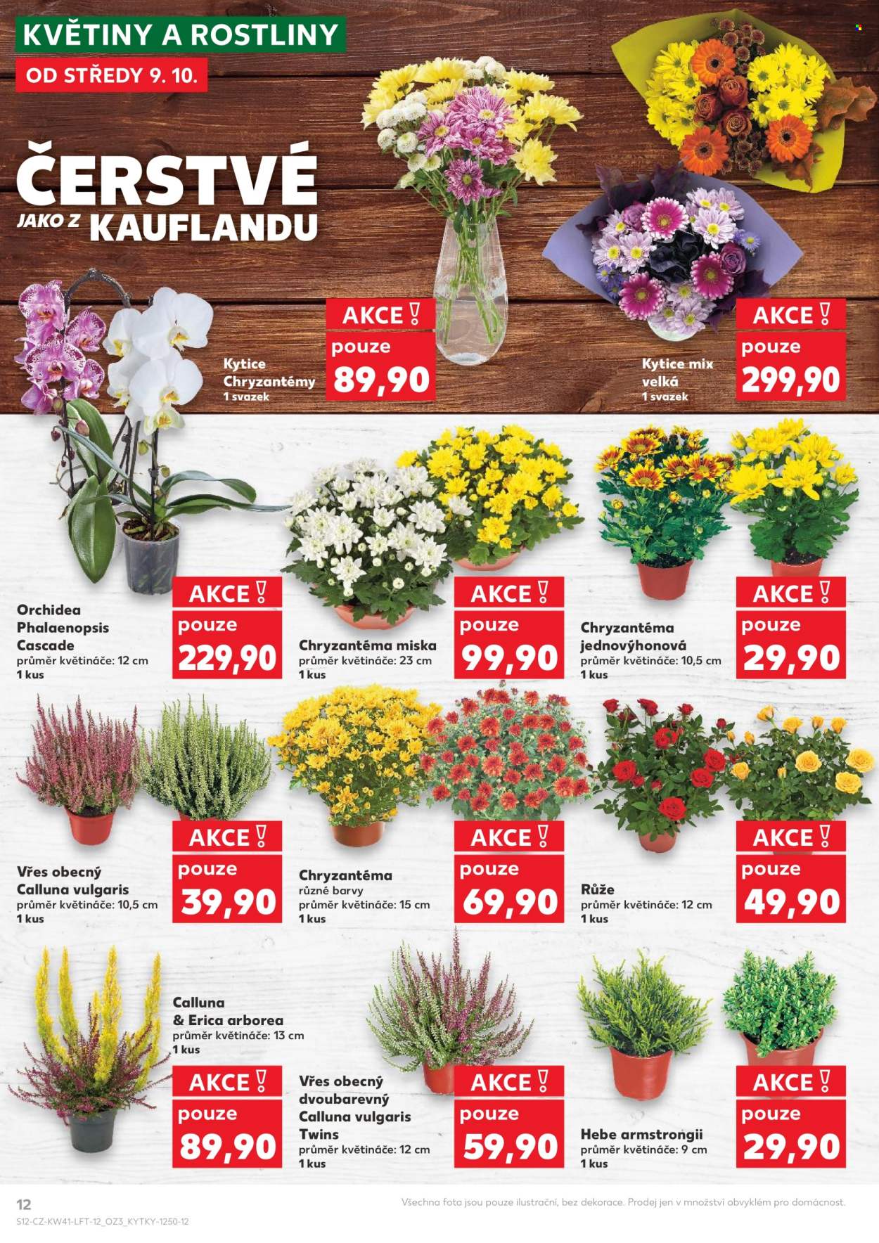 Leták Kaufland - 9.10.2024 - 15.10.2024. Strana 12