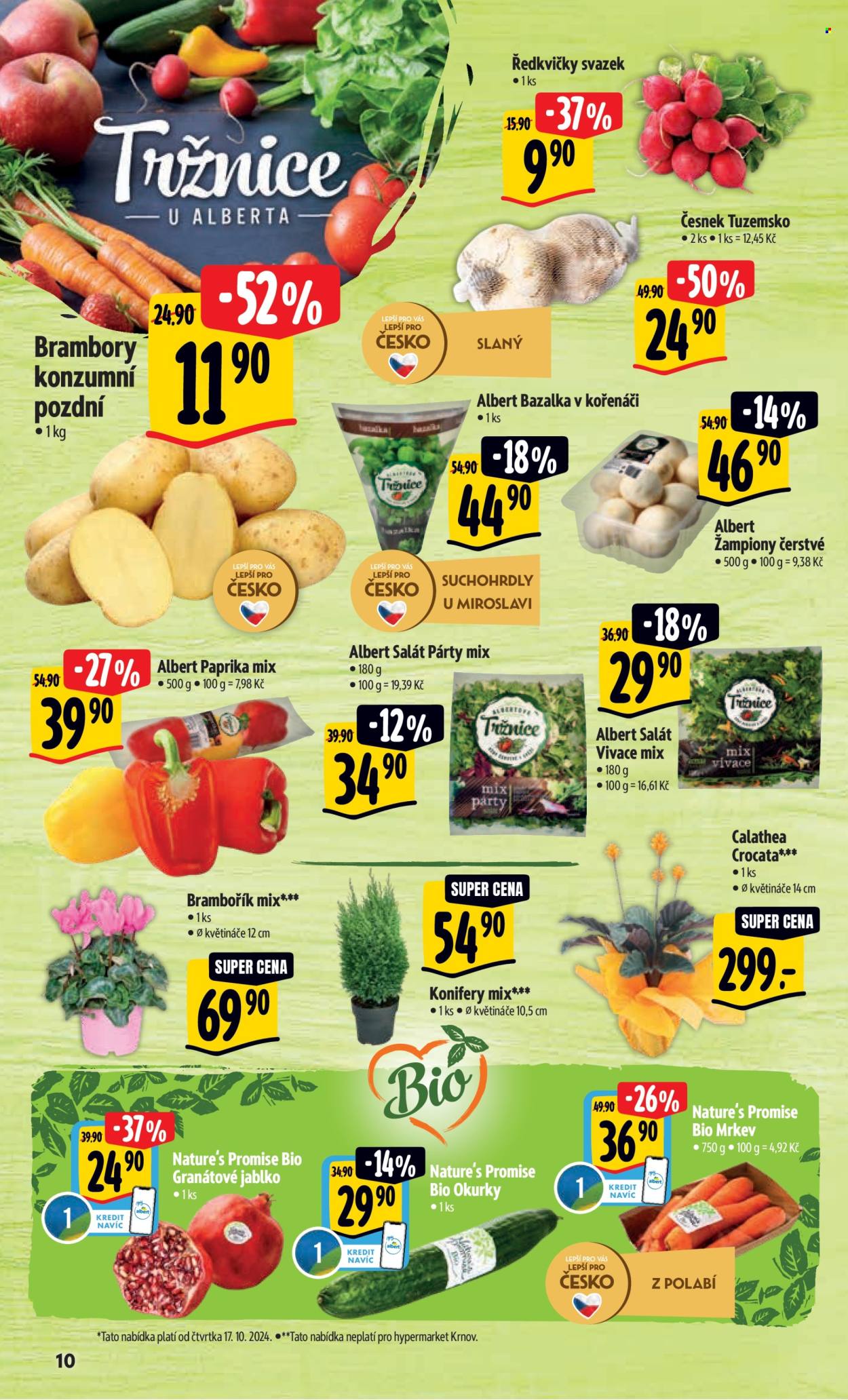 Leták Albert Hypermarket - 16.10.2024 - 22.10.2024. Strana 15