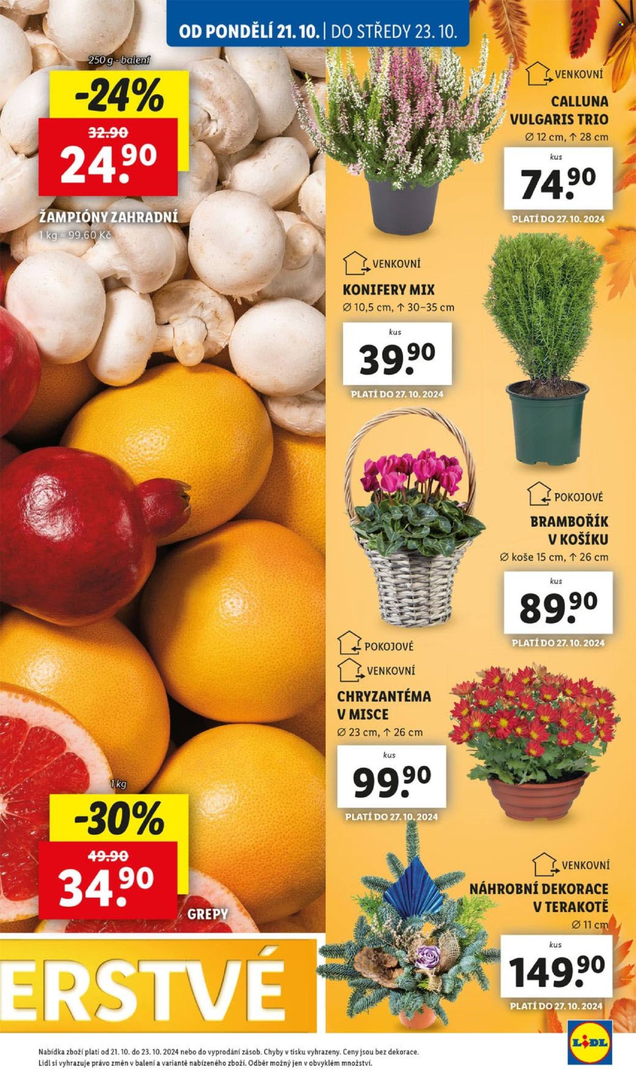 Leták Lidl - 21.10.2024 - 27.10.2024. Strana 13
