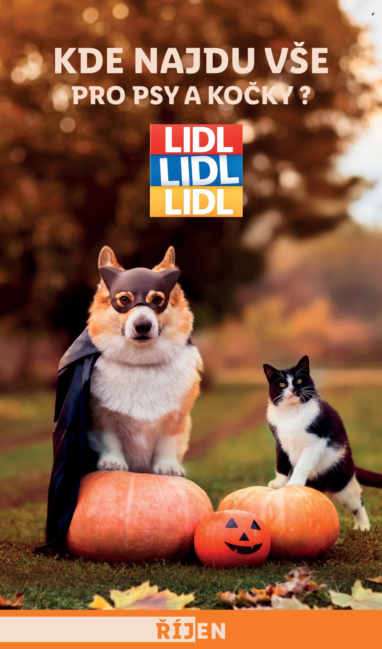 Leták Lidl - 21.10.2024 - 27.10.2024. Strana 1