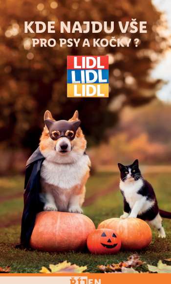 Leták Lidl - 21.10.2024 - 27.10.2024.