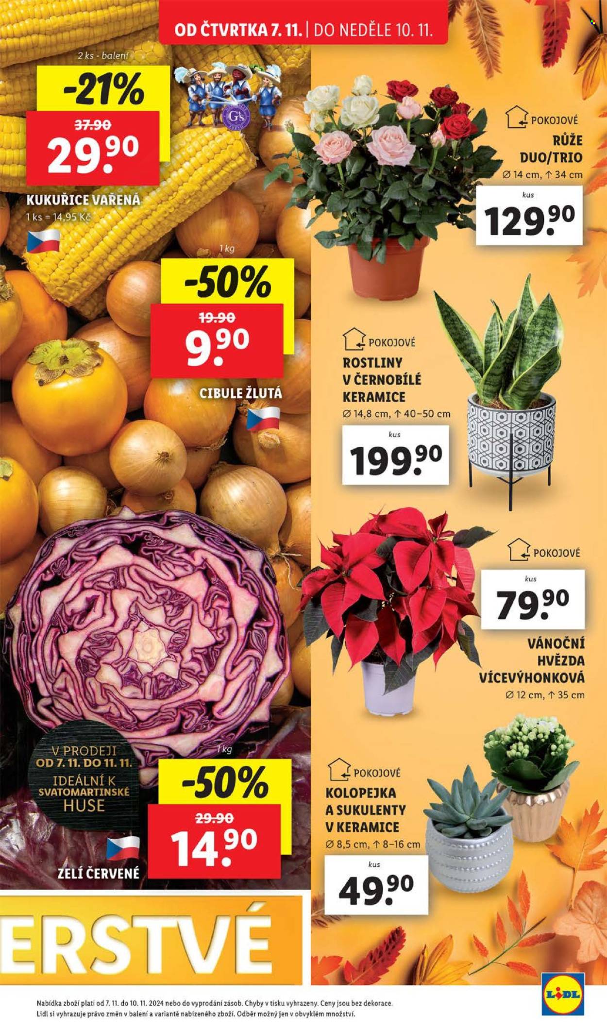 Leták Lidl - 7.11.2024 - 10.11.2024. Strana 13