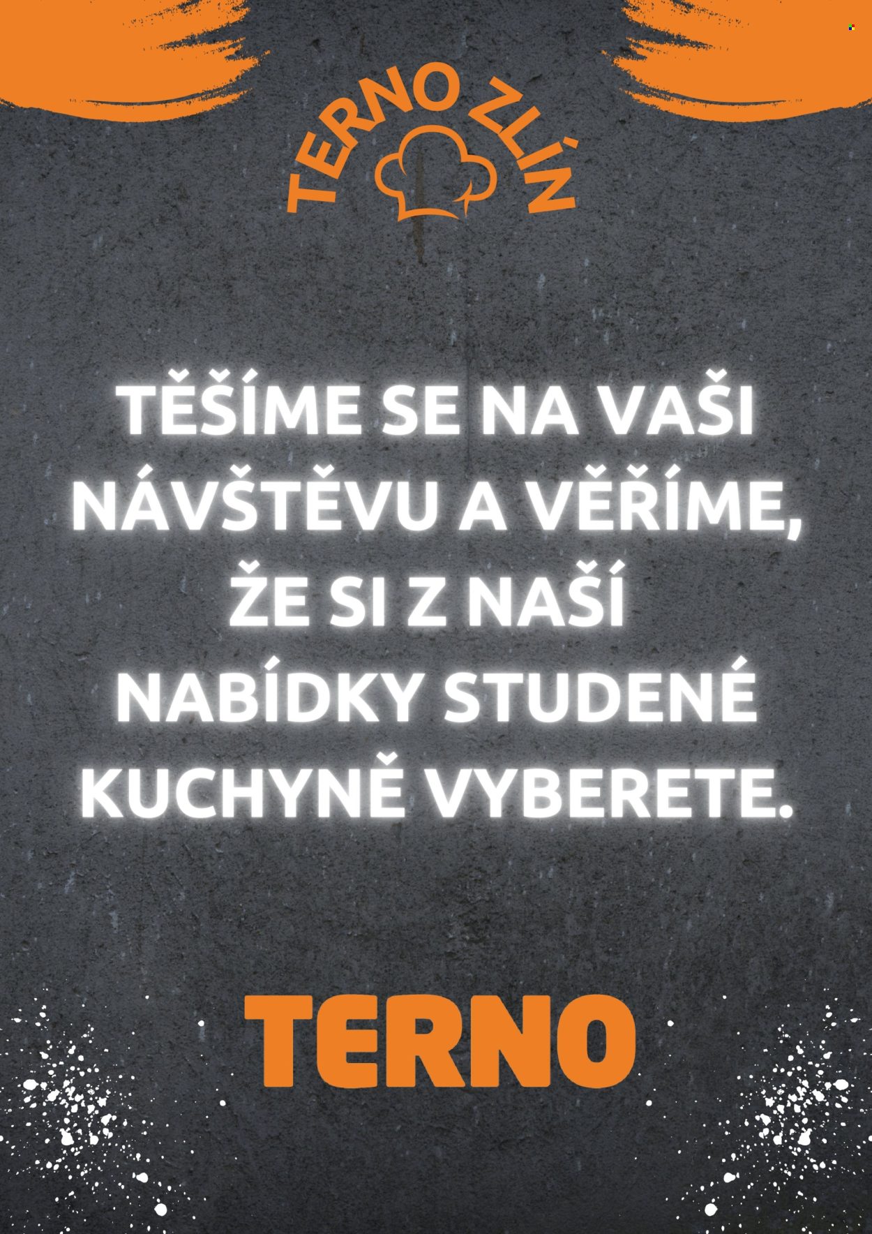 Leták coop TERNO - 1.8.2024 - 31.12.2024. Strana 17
