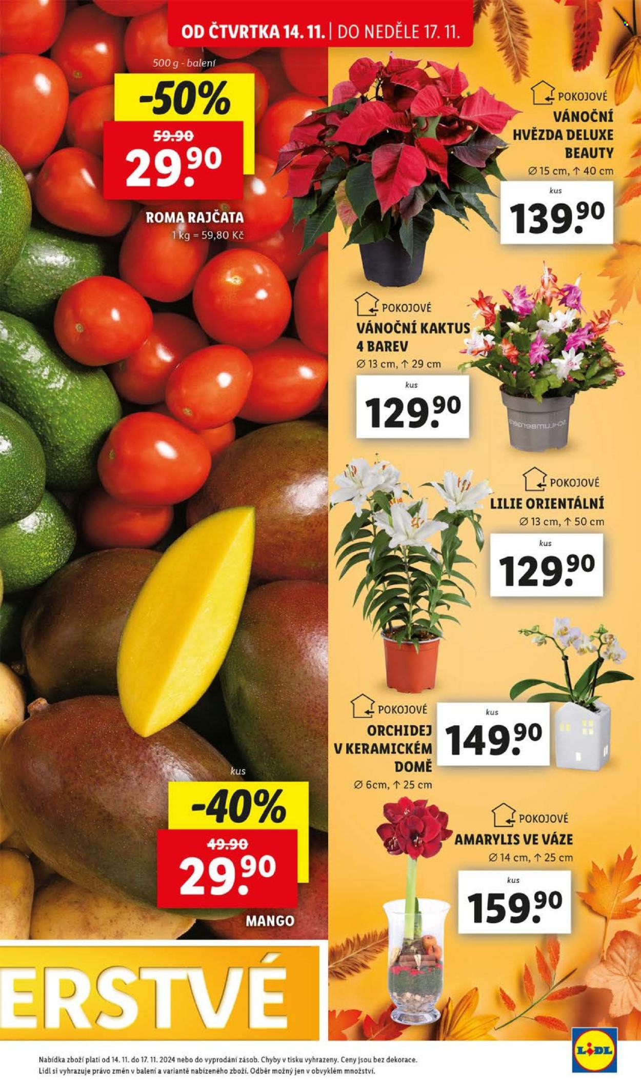Leták Lidl - 14.11.2024 - 17.11.2024. Strana 13