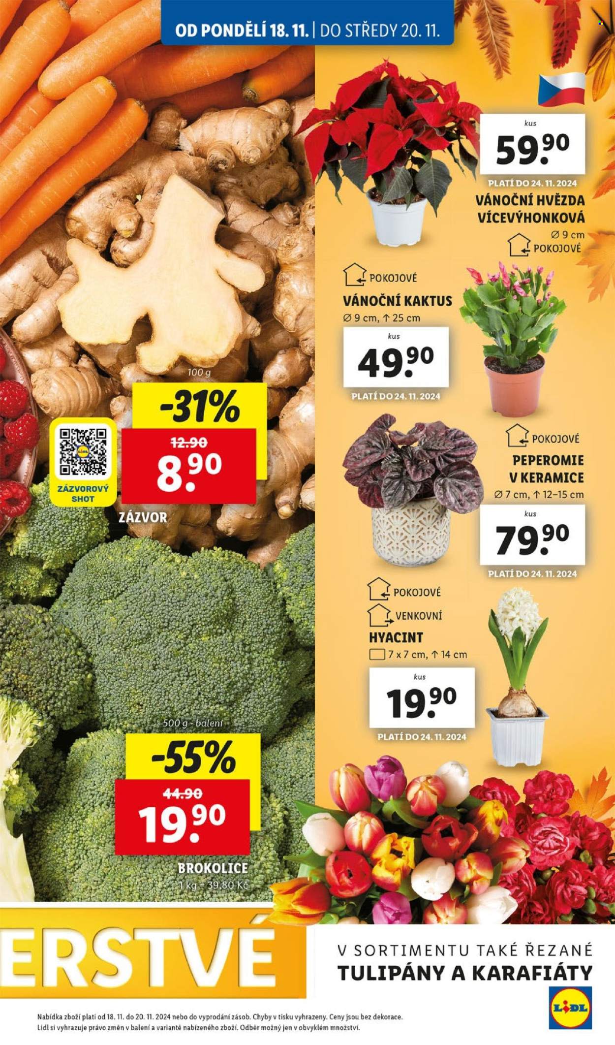 Leták Lidl - 18.11.2024 - 24.11.2024. Strana 15