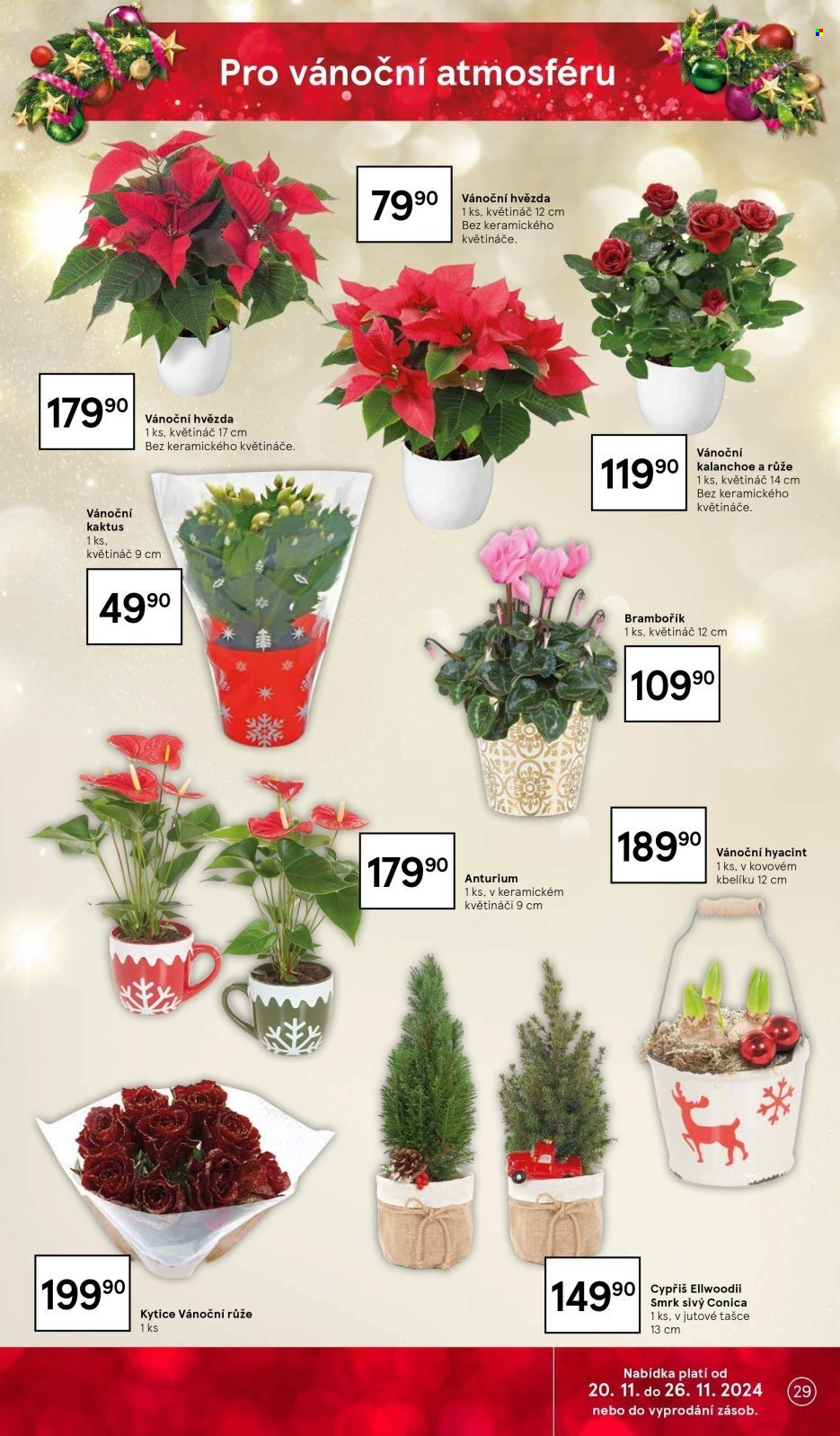 Leták TESCO - 20.11.2024 - 26.11.2024. Strana 29