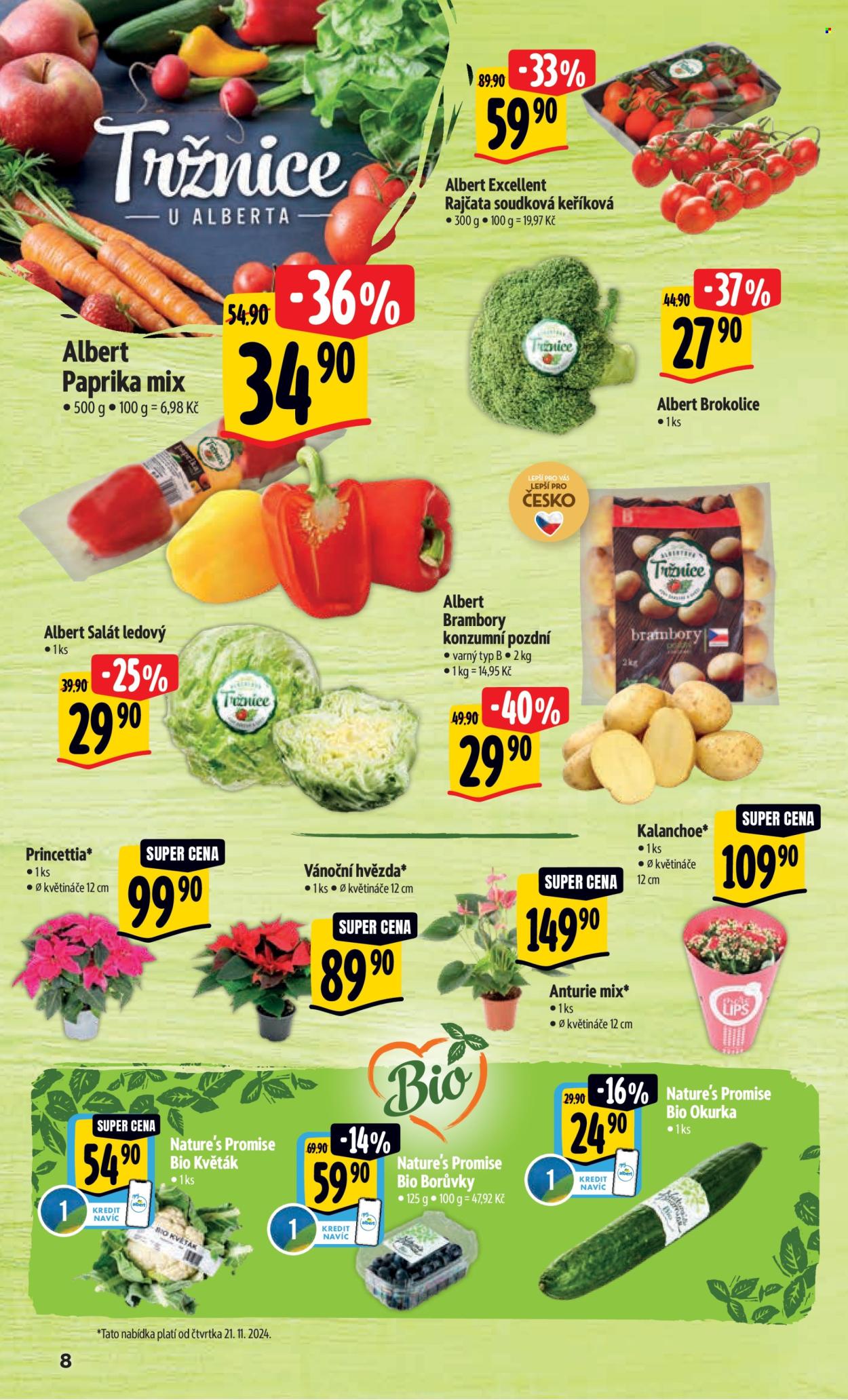 Leták Albert Hypermarket - 20.11.2024 - 26.11.2024. Strana 13