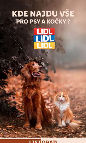 Leták Lidl - 18.11.2024 - 24.11.2024.