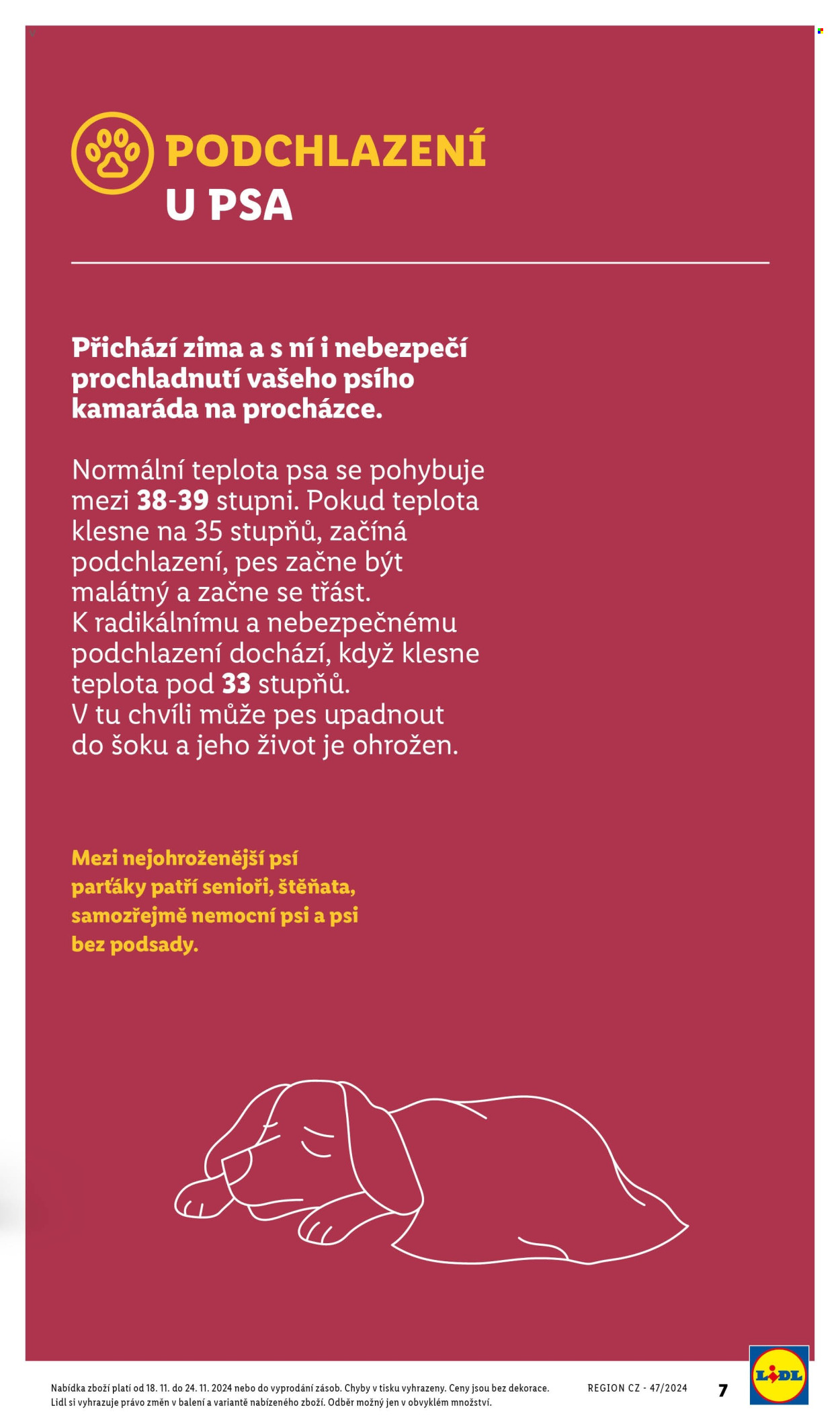 Leták Lidl - 18.11.2024 - 24.11.2024. Strana 7