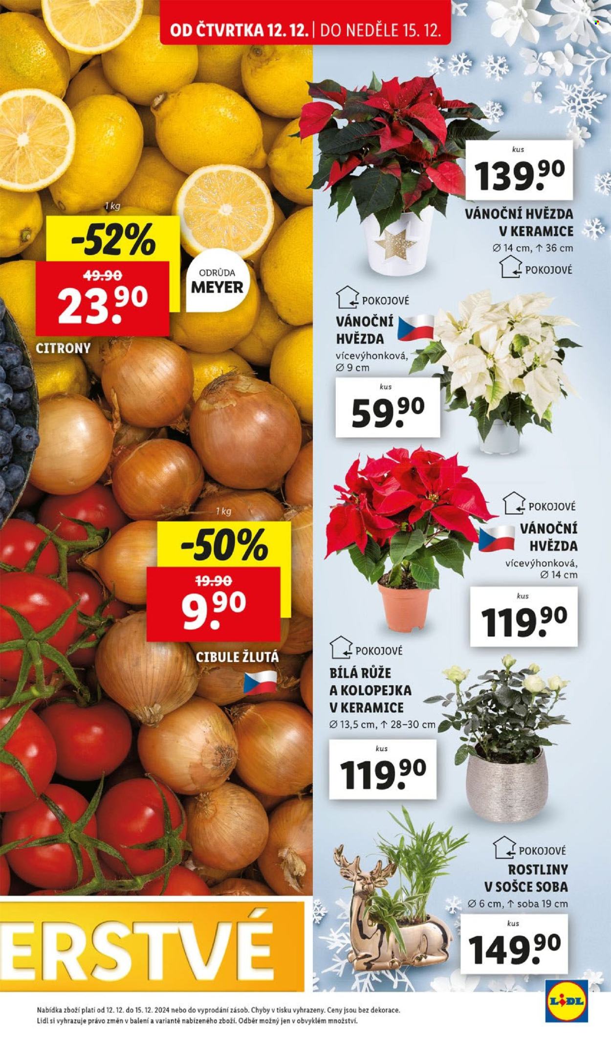 Leták Lidl - 12.12.2024 - 15.12.2024. Strana 15
