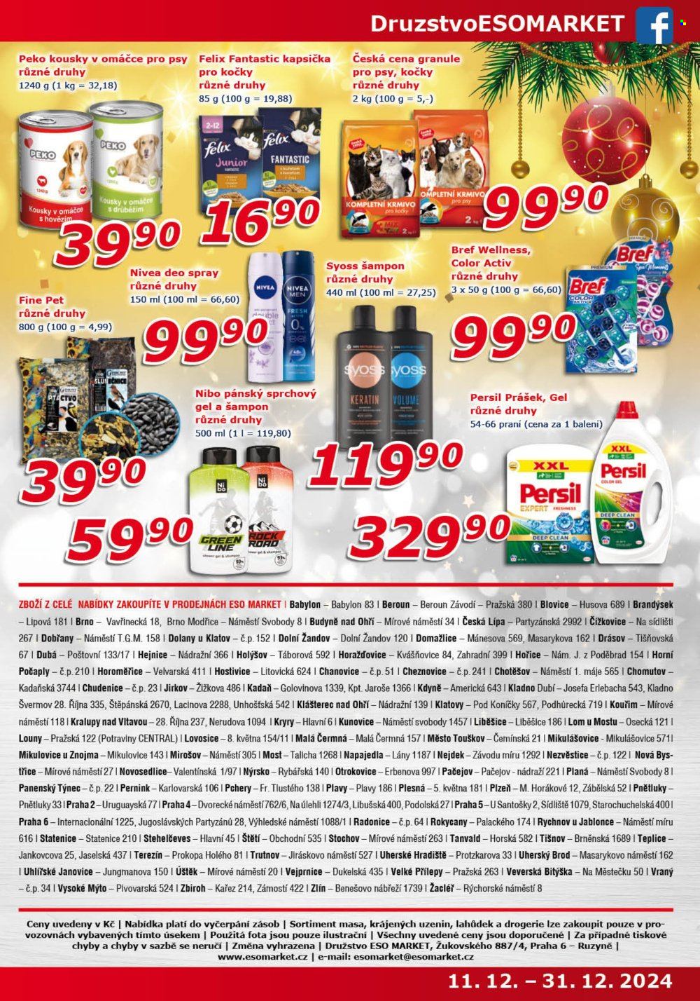 Leták ESO MARKET - 11.12.2024 - 31.12.2024. Strana 9