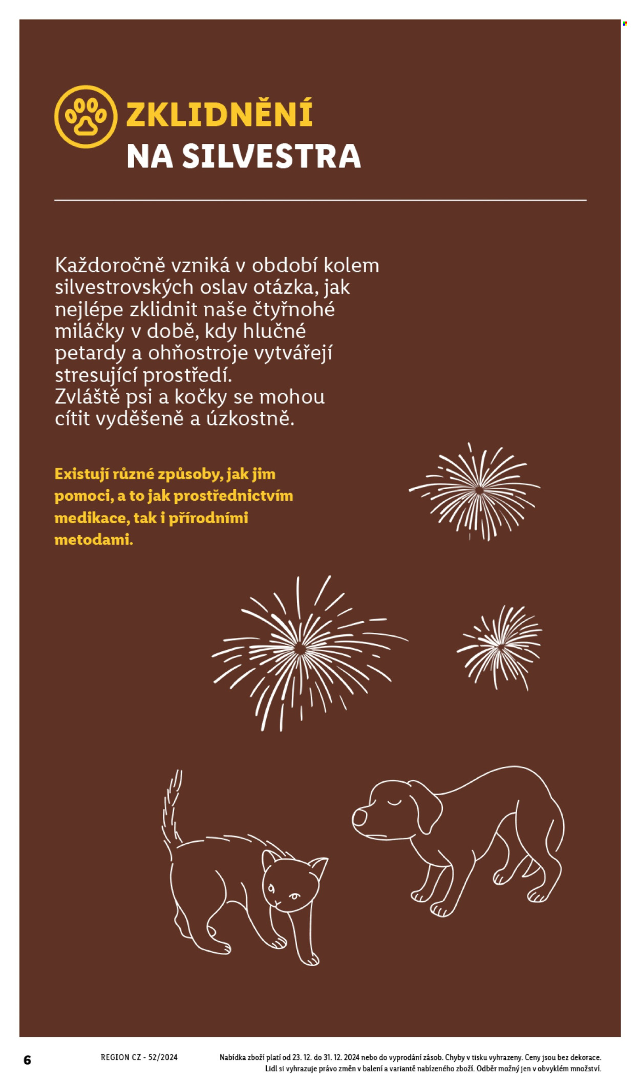 Leták Lidl - 23.12.2024 - 31.12.2024. Strana 6