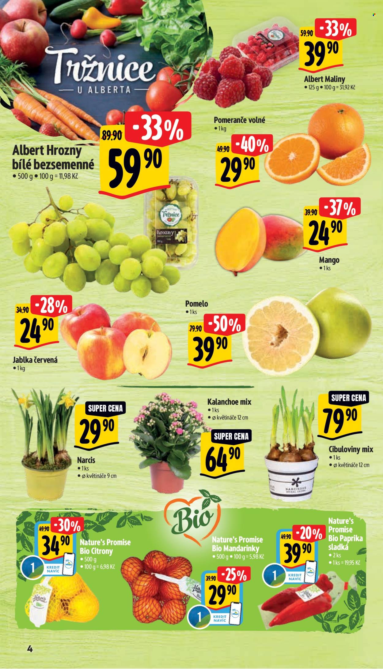 Leták Albert Supermarket - 2.1.2025 - 7.1.2025. Strana 9