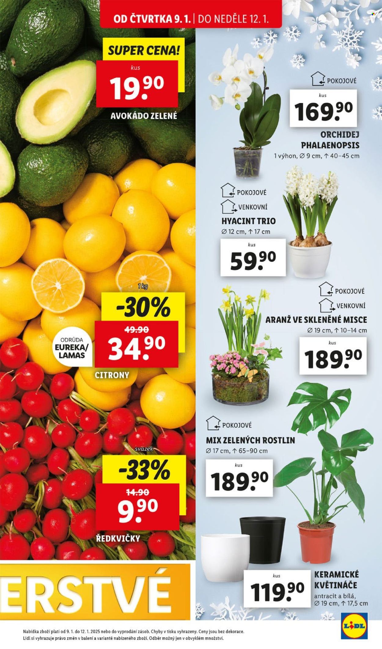 Leták Lidl - 9.1.2025 - 12.1.2025. Strana 13