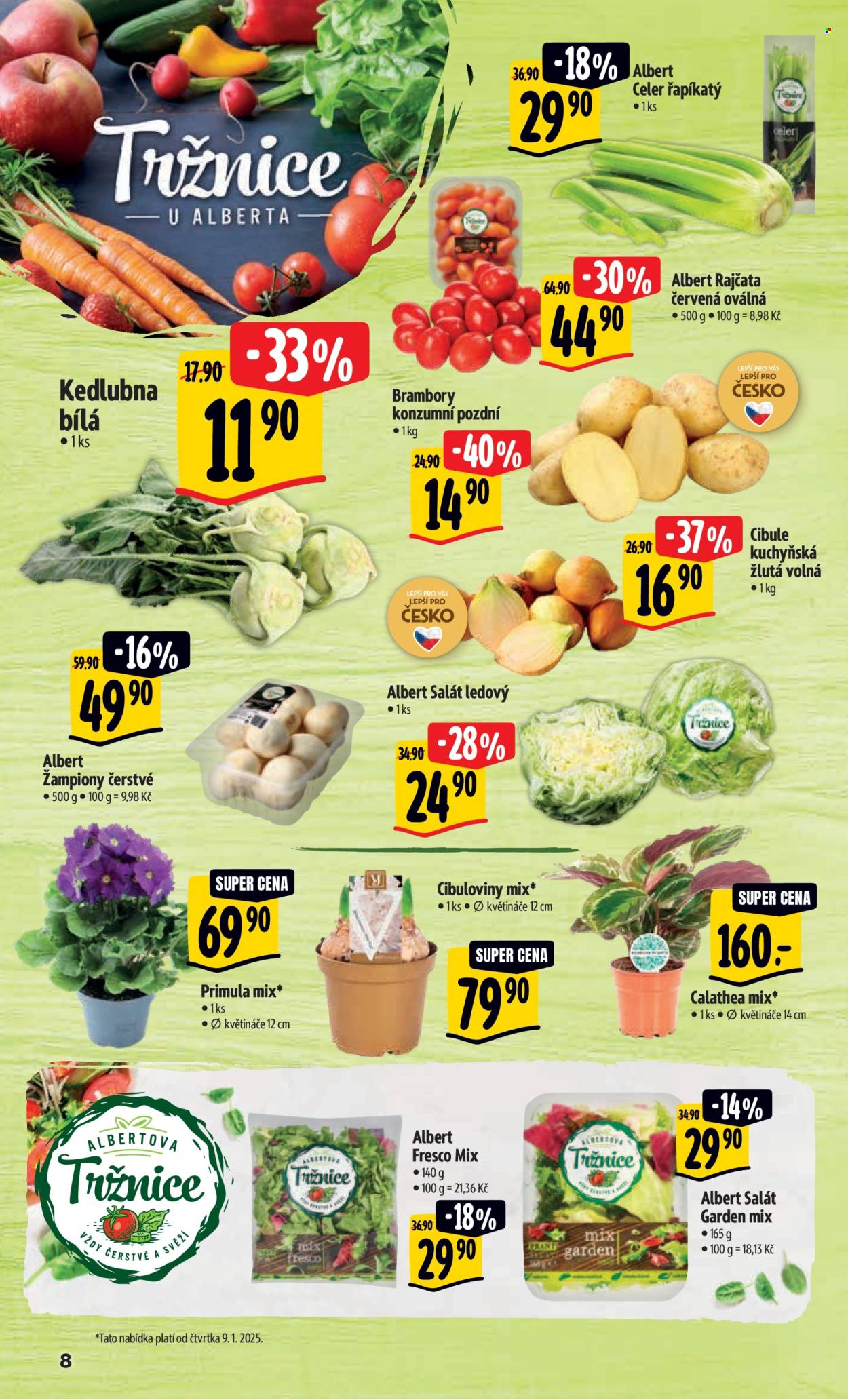 Leták Albert Hypermarket - 8.1.2025 - 14.1.2025. Strana 13