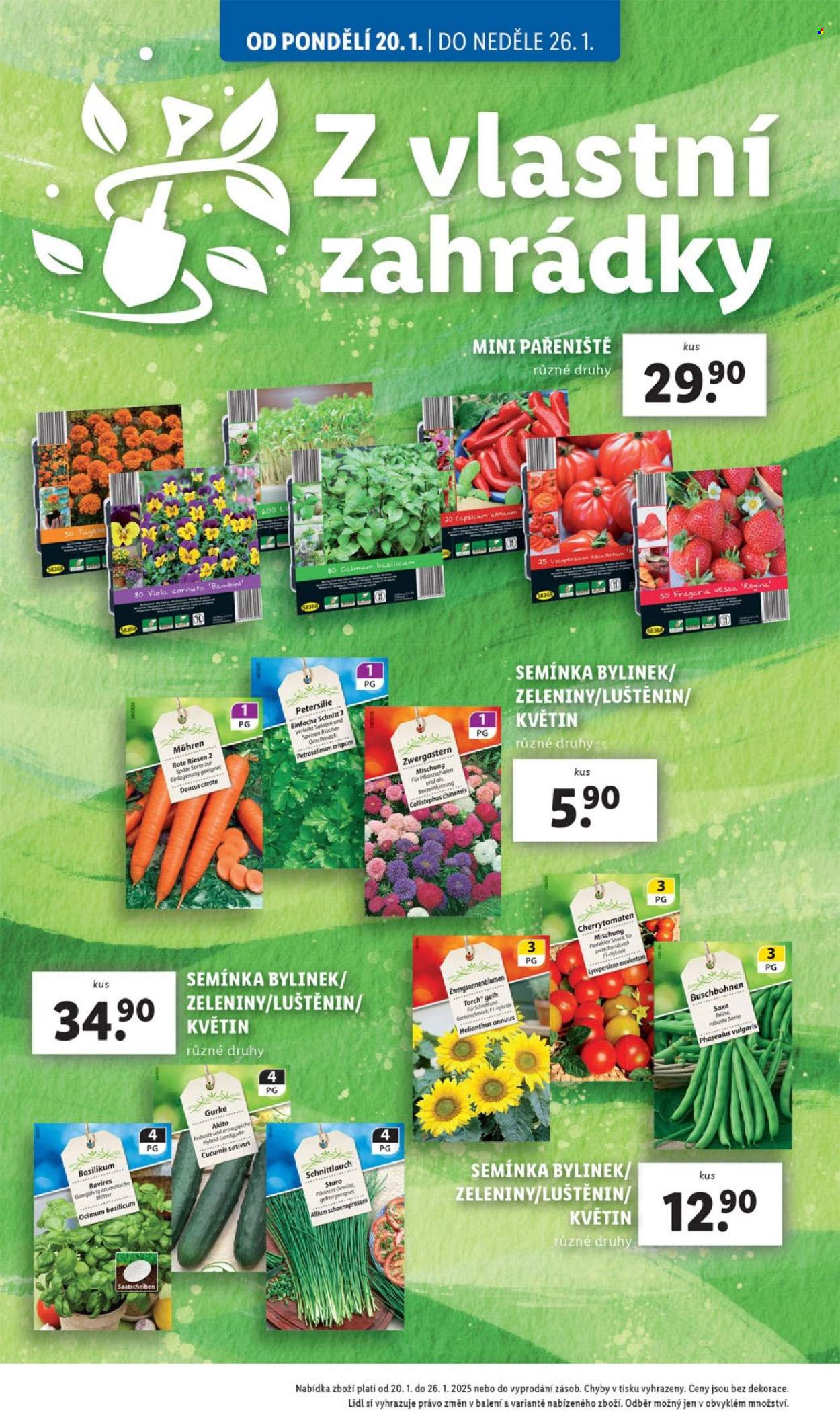 Leták Lidl - 20.1.2025 - 26.1.2025. Strana 12