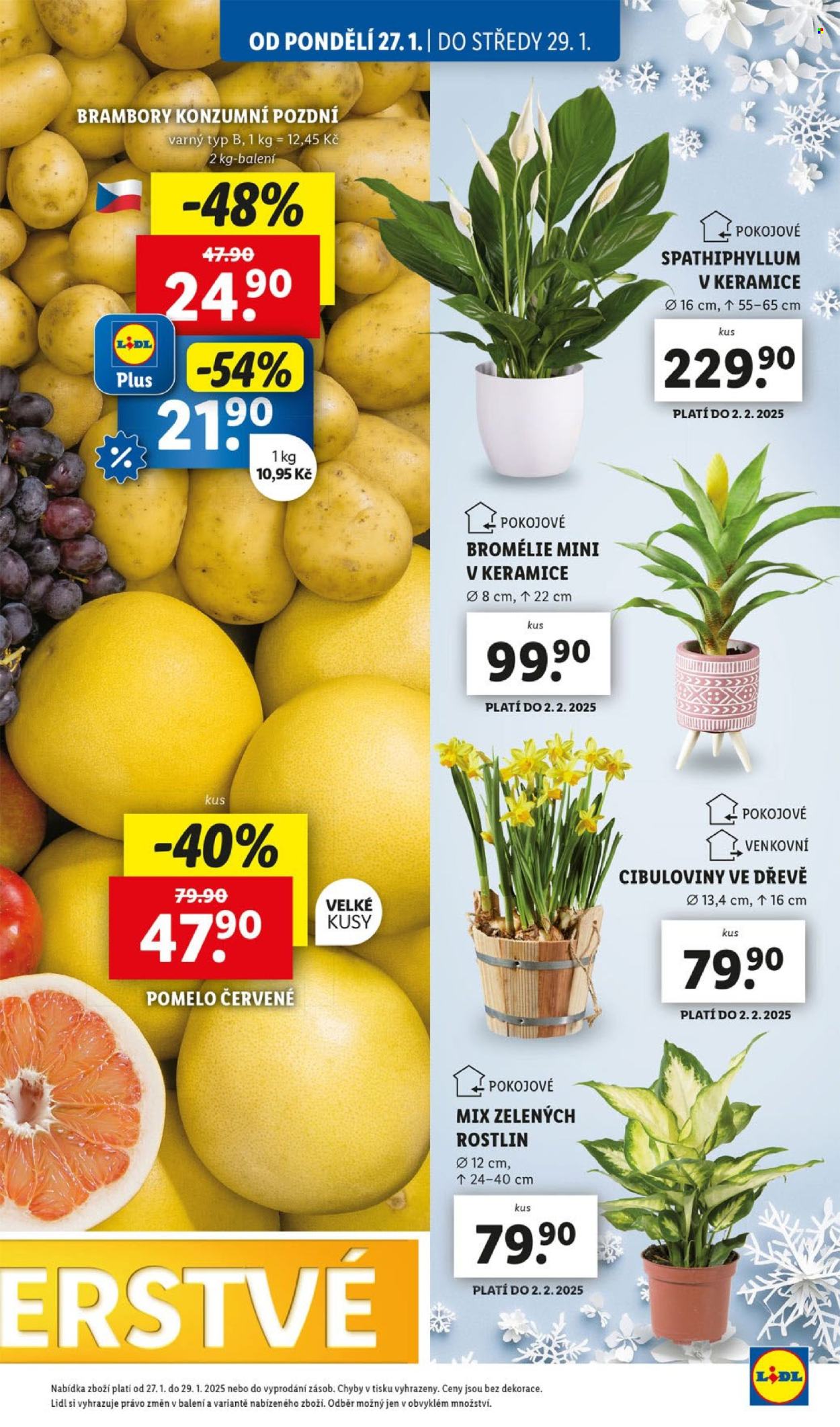 Leták Lidl - 27.1.2025 - 2.2.2025. Strana 13
