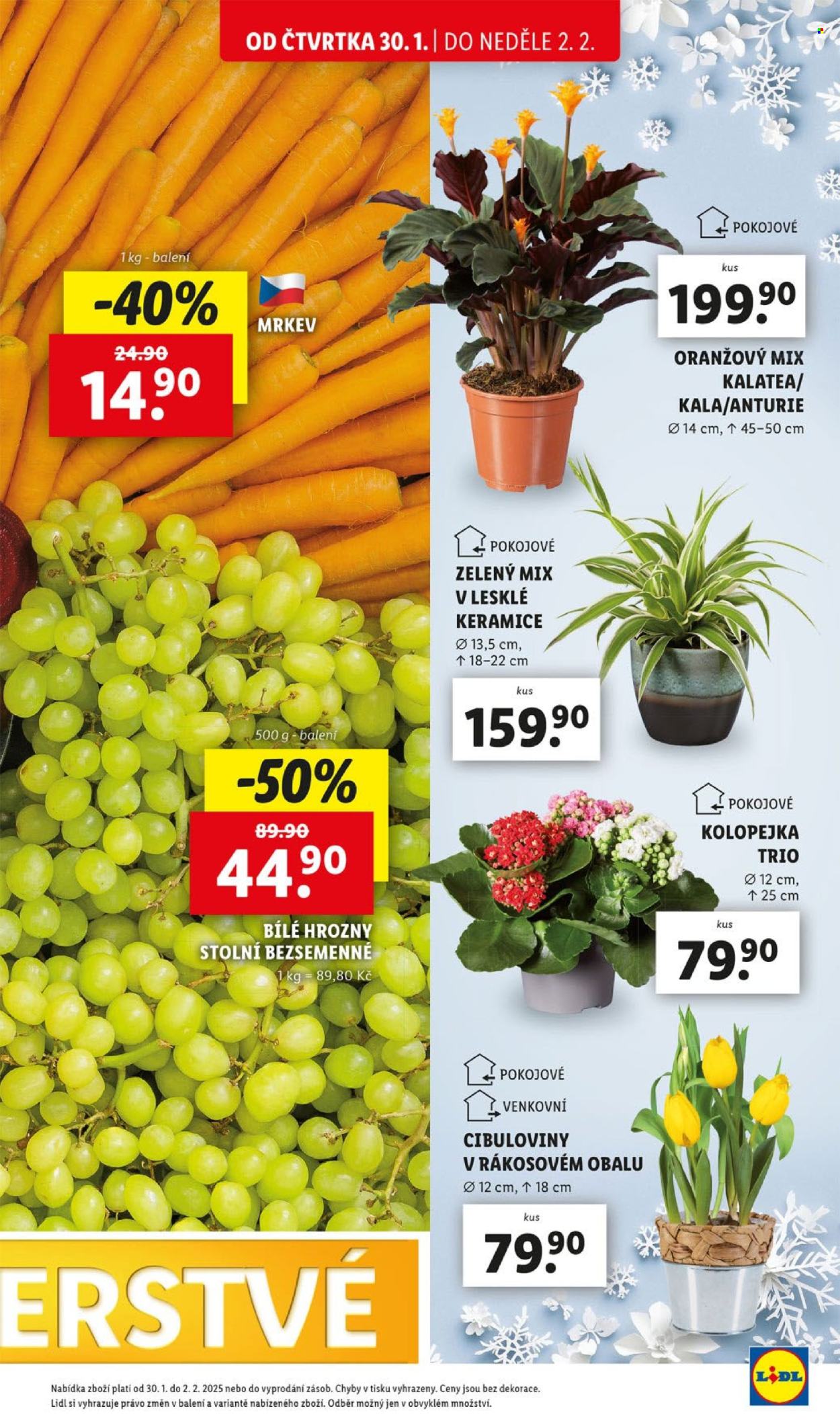 Leták Lidl - 30.1.2025 - 2.2.2025. Strana 15