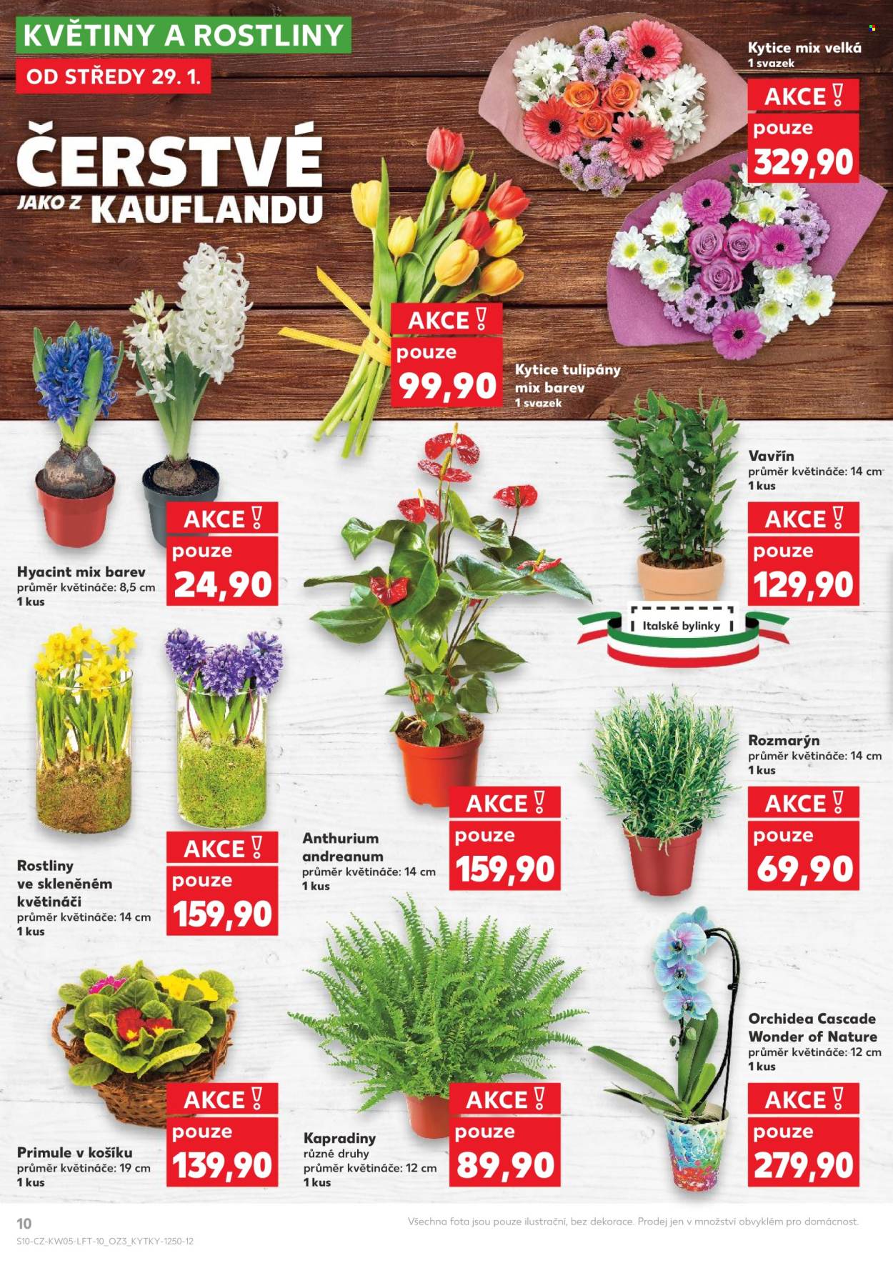 Leták Kaufland - 29.1.2025 - 4.2.2025. Strana 10