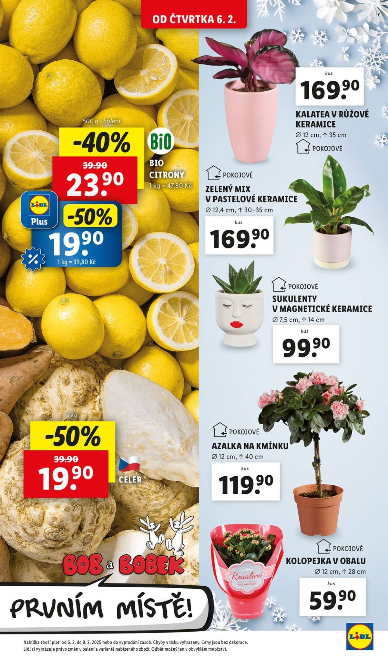 Leták Lidl - 6.2.2025 - 9.2.2025. Strana 13