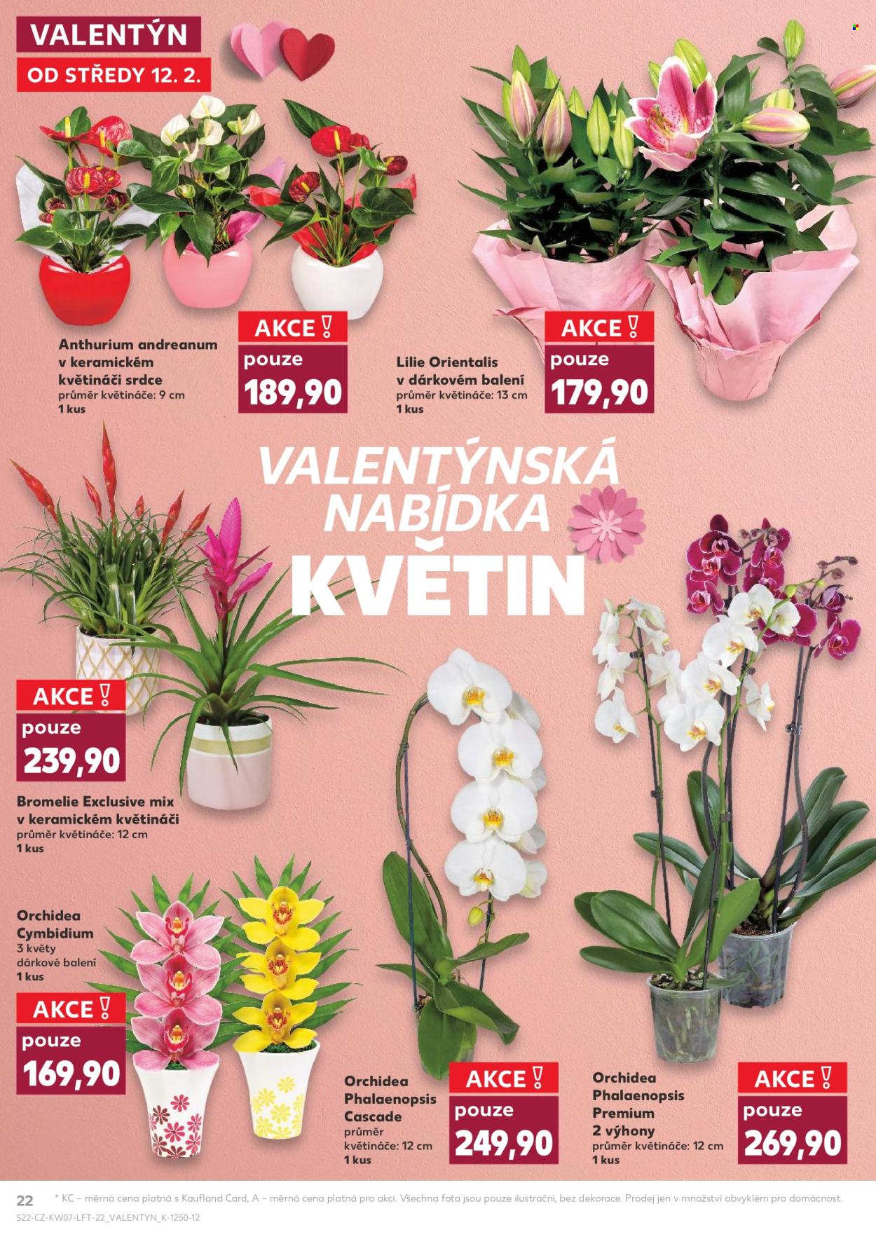 Leták Kaufland - 12.2.2025 - 18.2.2025. Strana 22