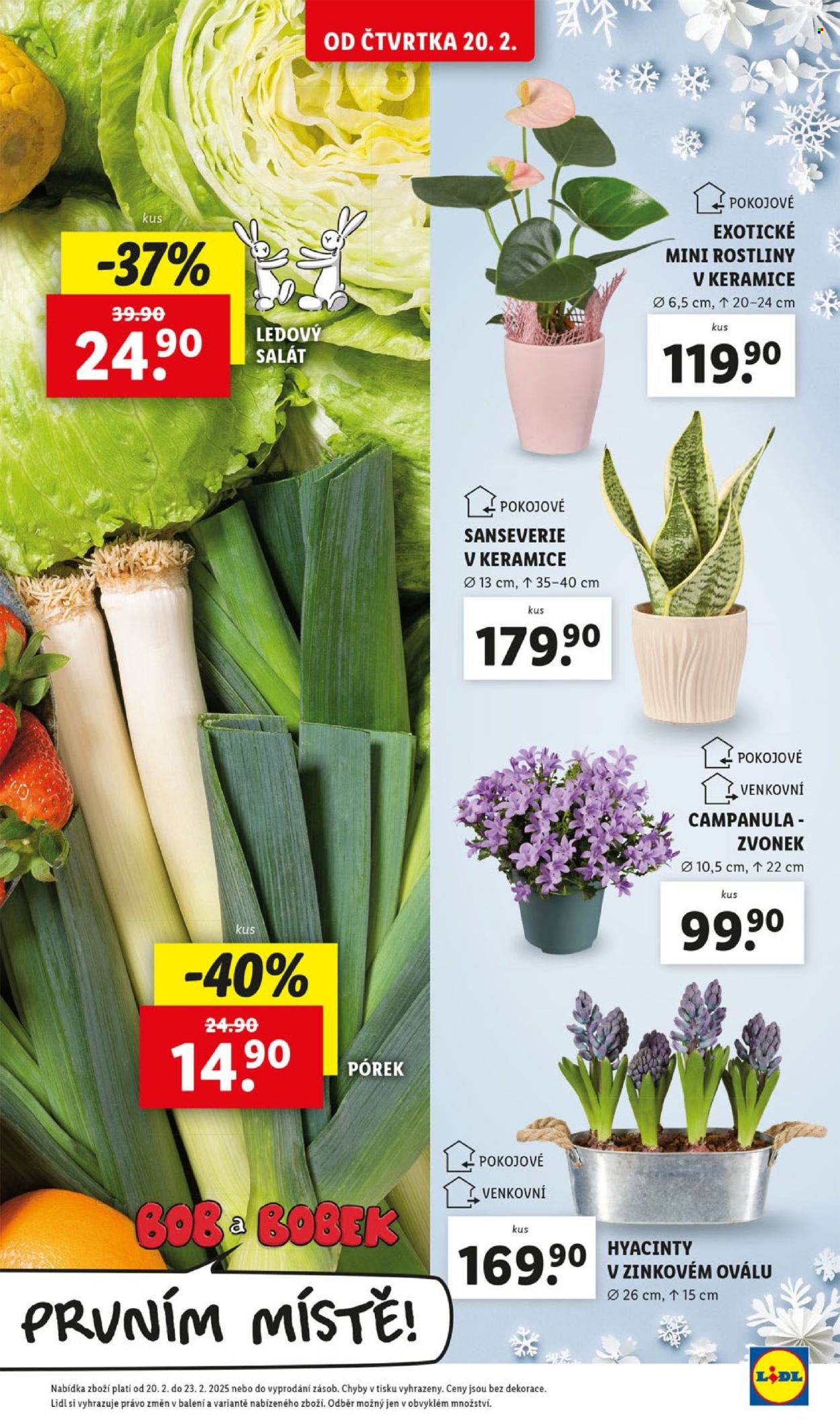 Leták Lidl - 20.2.2025 - 23.2.2025. Strana 15
