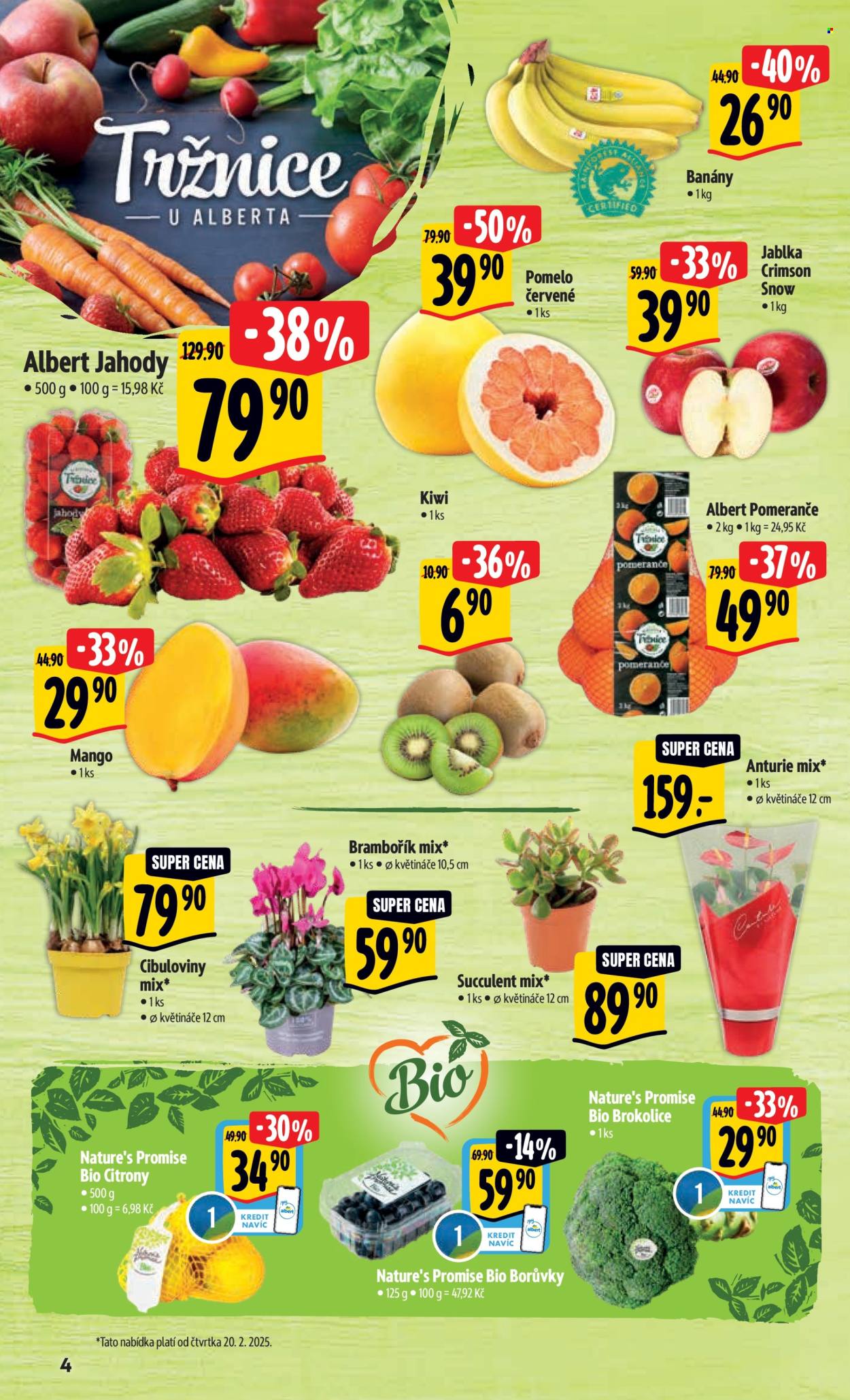Leták Albert Hypermarket - 19.2.2025 - 25.2.2025. Strana 9