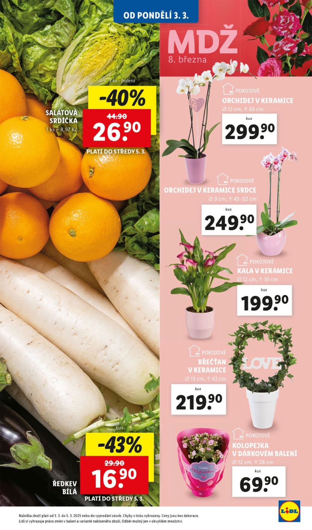 Leták Lidl - 3.3.2025 - 9.3.2025. Strana 13