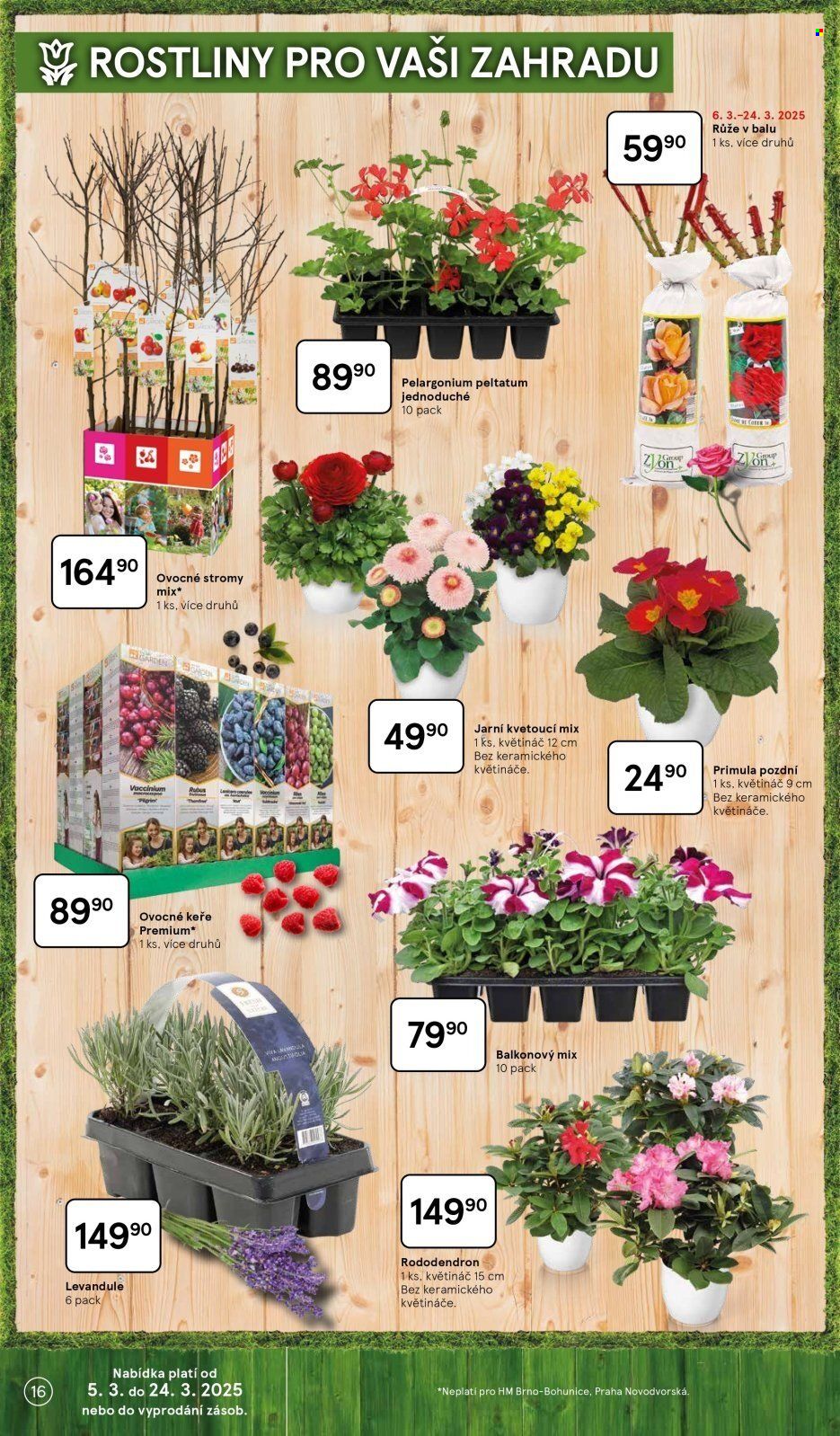 Leták TESCO hypermarket - 4.3.2025 - 24.3.2025. Strana 16