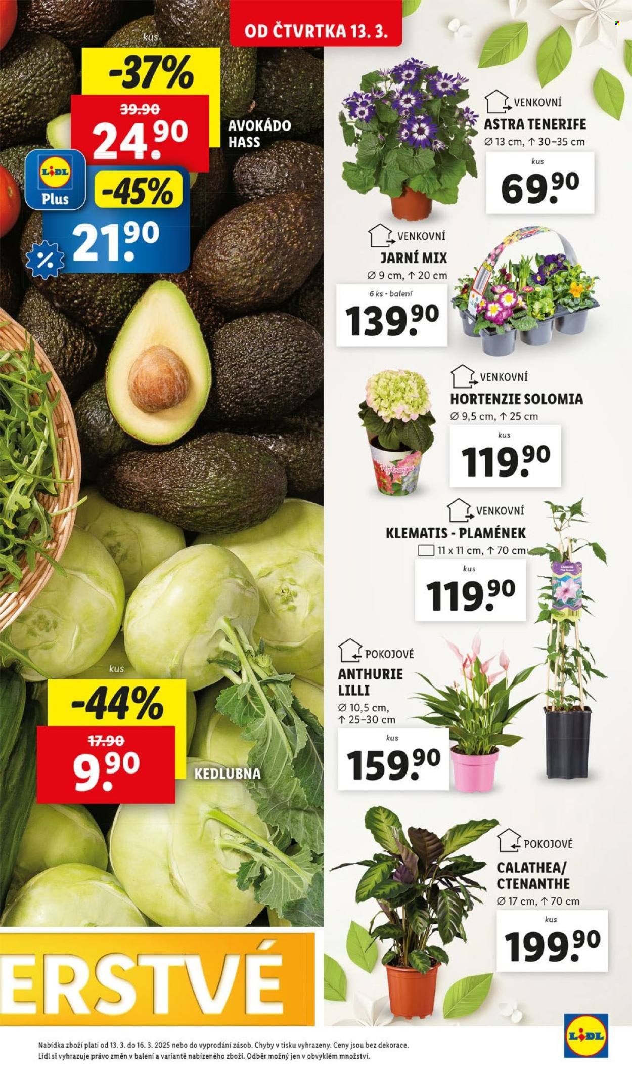 Leták Lidl - 13.3.2025 - 16.3.2025. Strana 13