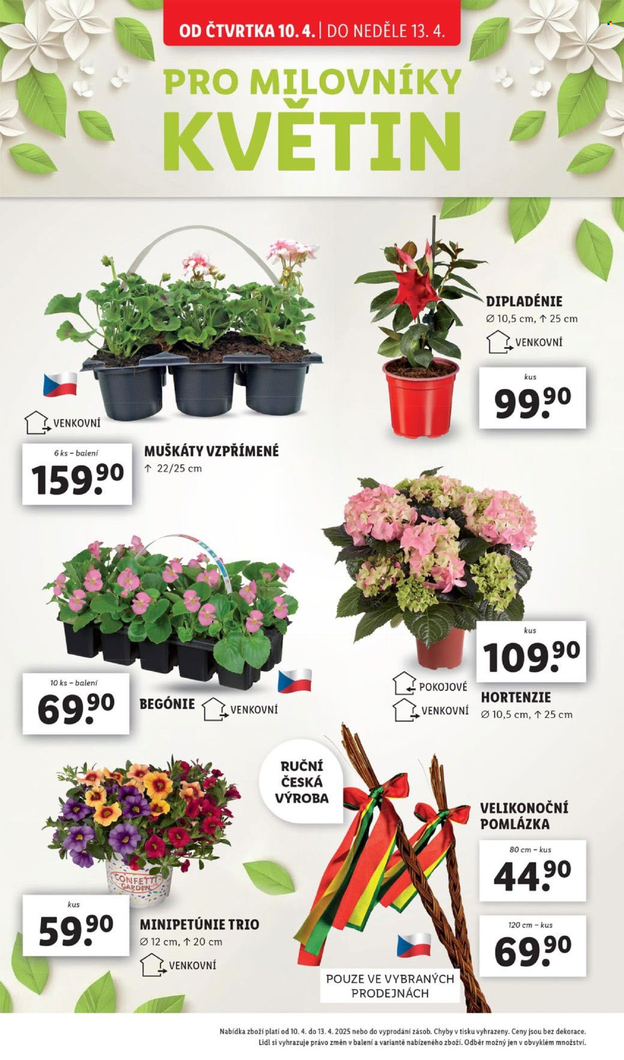 Leták Lidl - 10.4.2025 - 13.4.2025. Strana 40