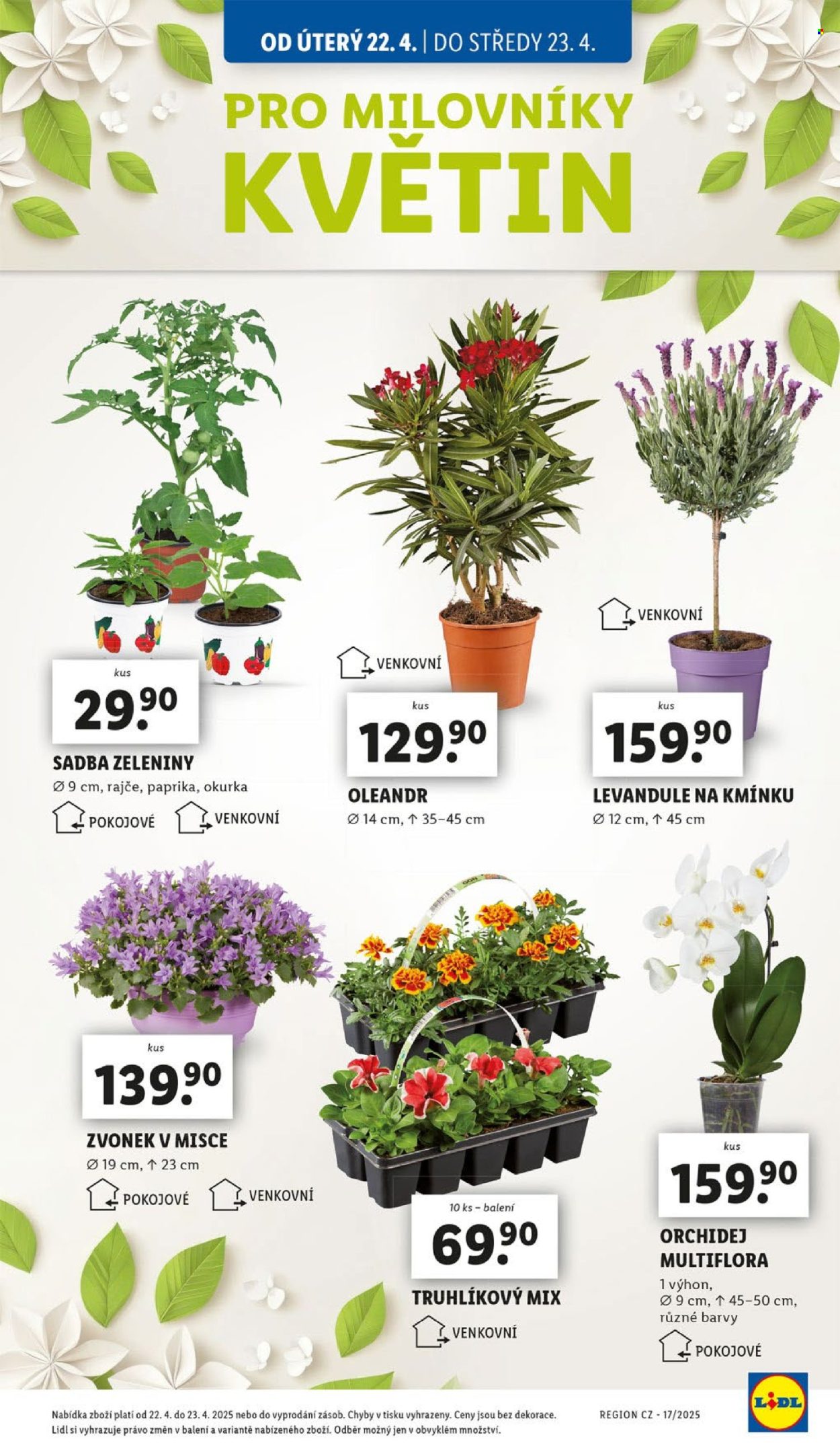 Leták Lidl - 22.4.2025 - 27.4.2025. Strana 41