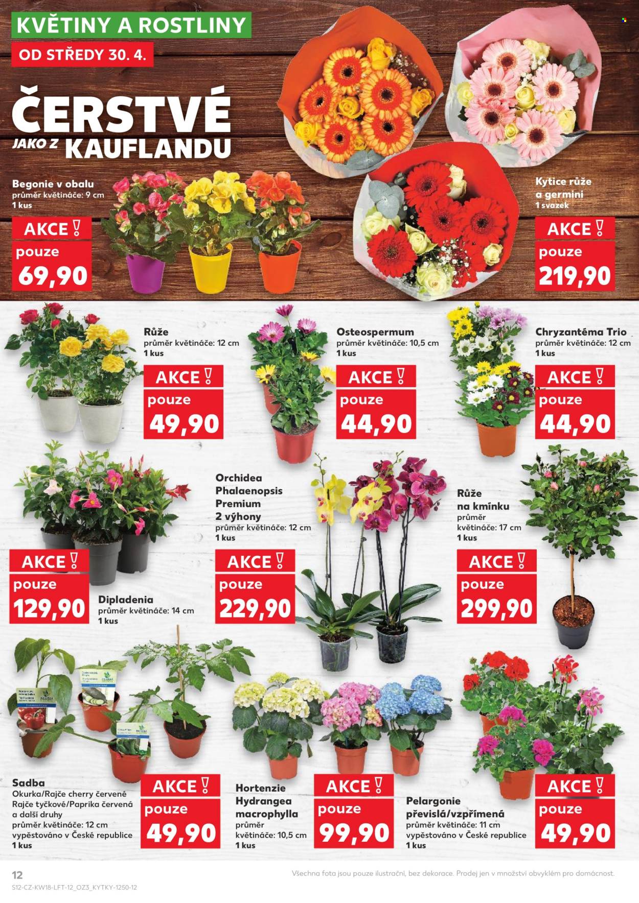 Leták Kaufland - 30.4.2025 - 6.5.2025. Strana 12