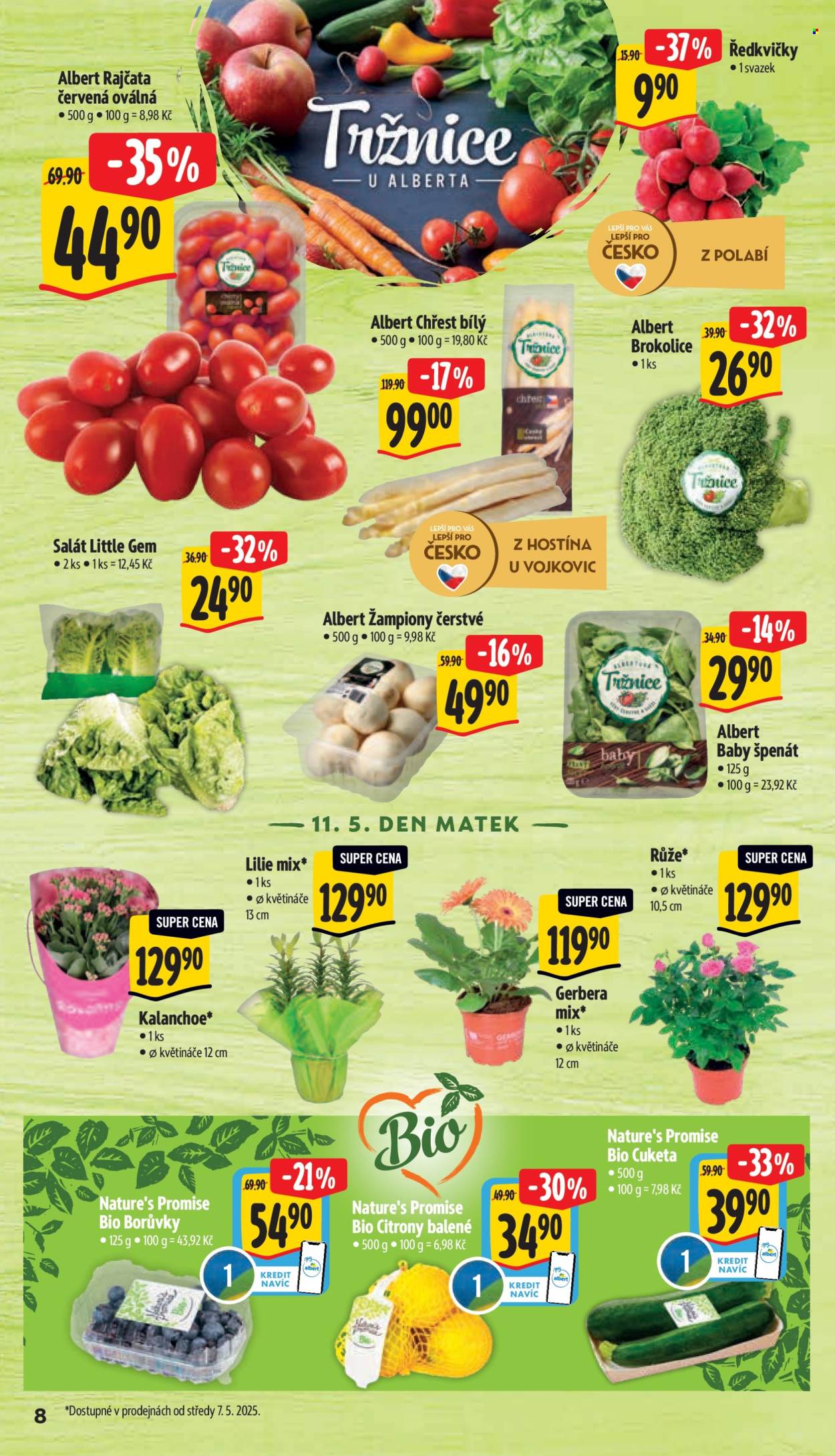 Leták Albert Supermarket - 5.5.2025 - 13.5.2025. Strana 13