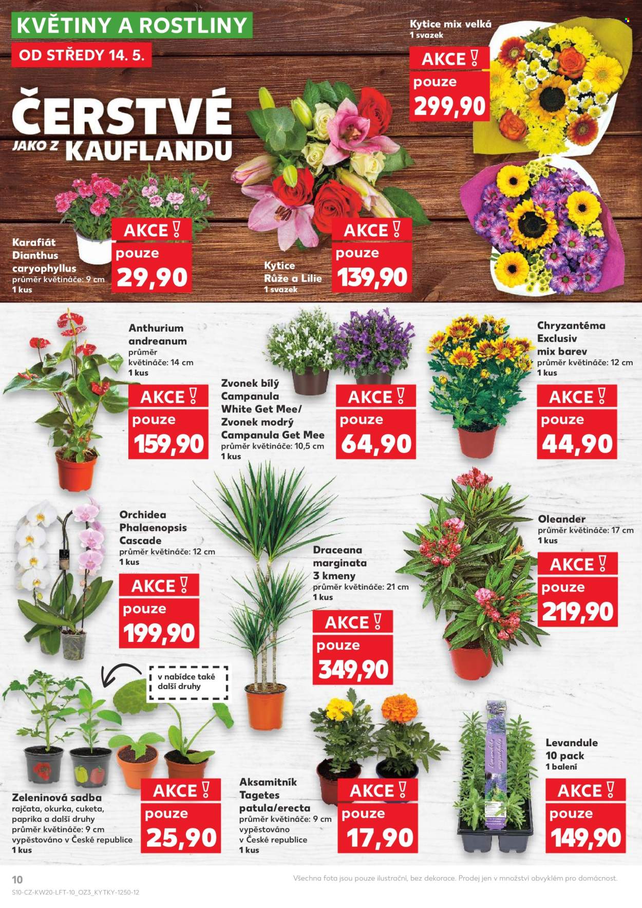 Leták Kaufland - 14.5.2025 - 20.5.2025. Strana 10