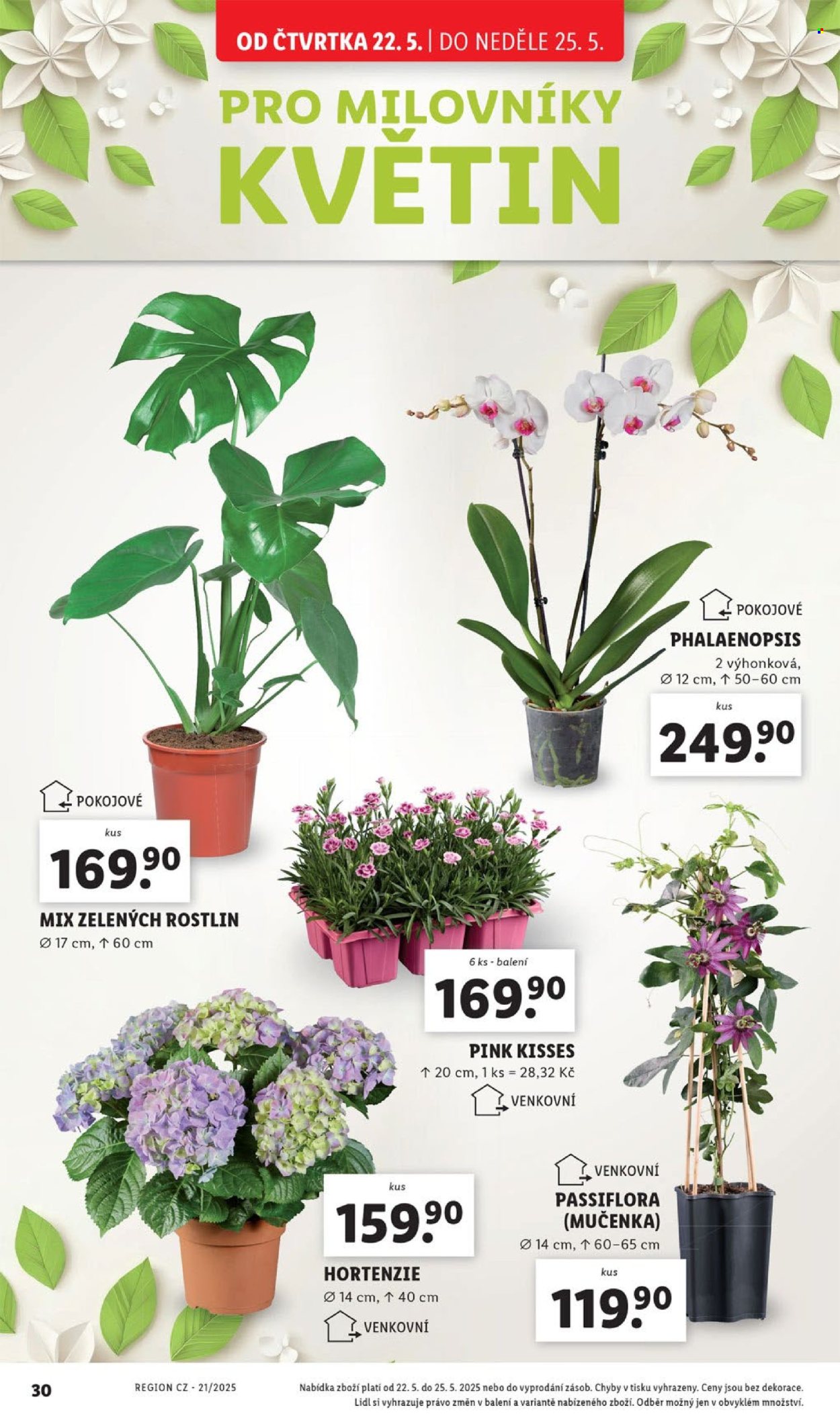 Leták Lidl - 22.5.2025 - 25.5.2025. Strana 30