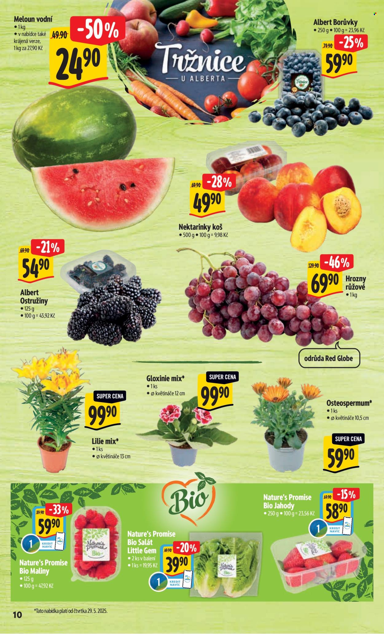 Leták Albert Hypermarket - 28.5.2025 - 3.6.2025. Strana 16