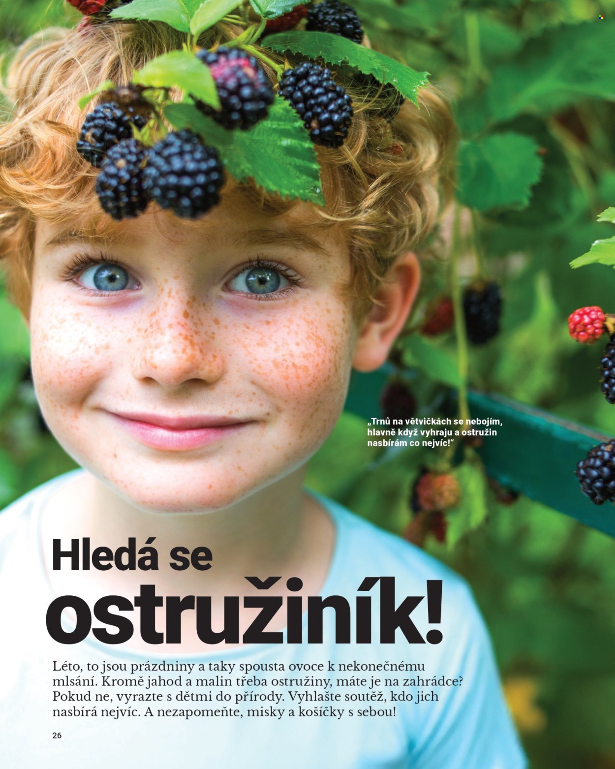 Leták Tescoma - 1.5.2025 - 31.7.2025. Strana 26