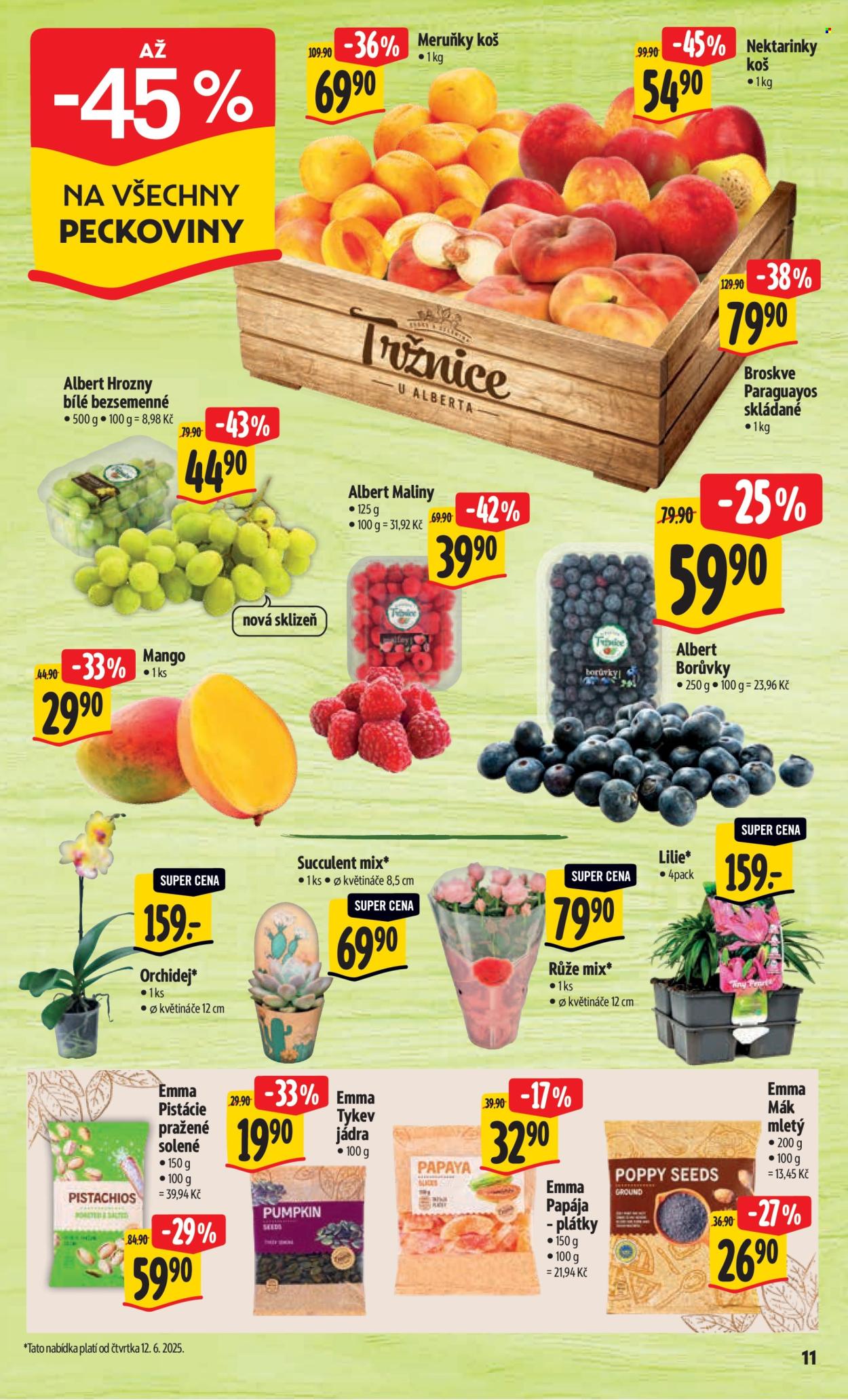 Leták Albert Hypermarket - 11.6.2025 - 17.6.2025. Strana 17