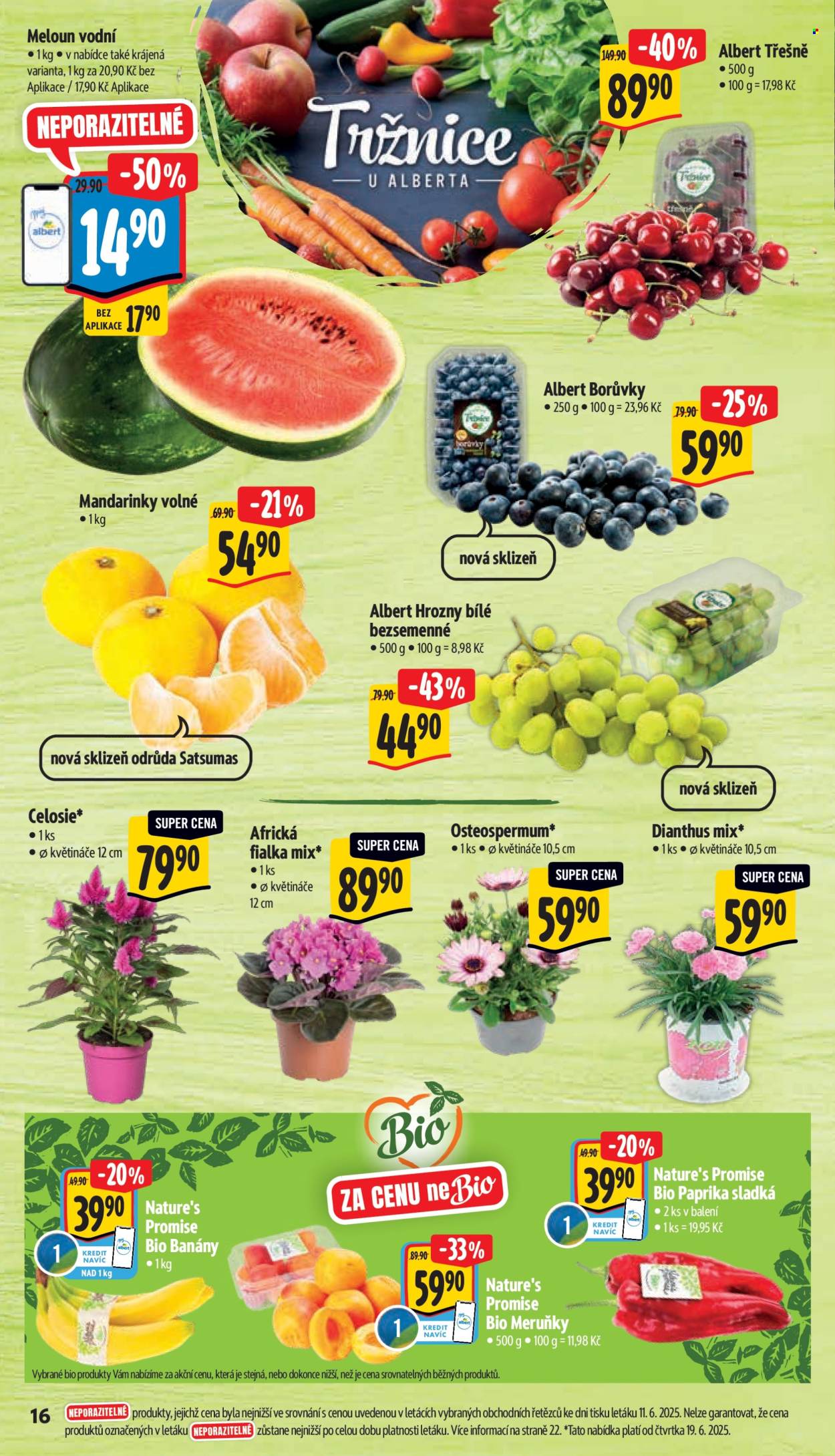 Leták Albert Supermarket - 18.6.2025 - 24.6.2025. Strana 22