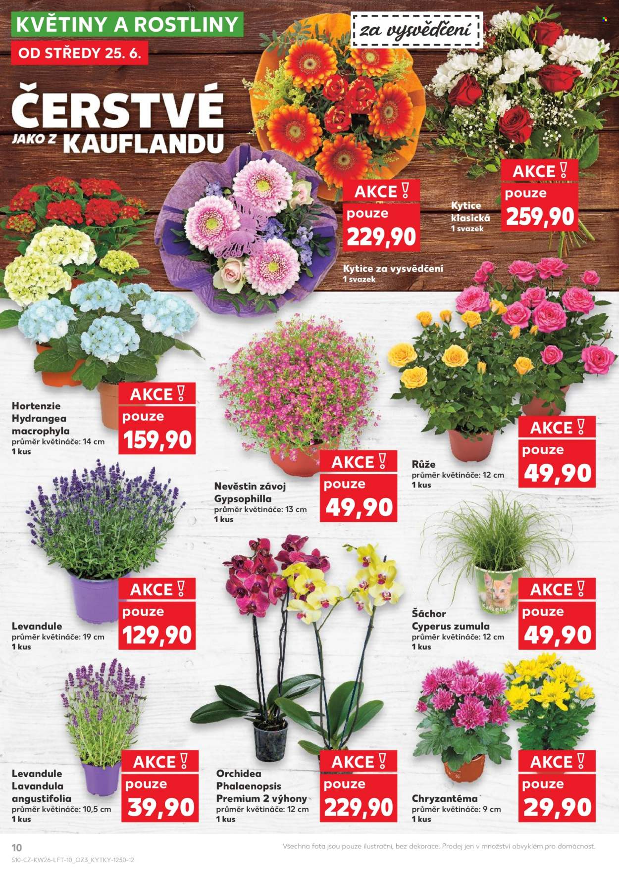 Leták Kaufland - 25.6.2025 - 1.7.2025. Strana 10