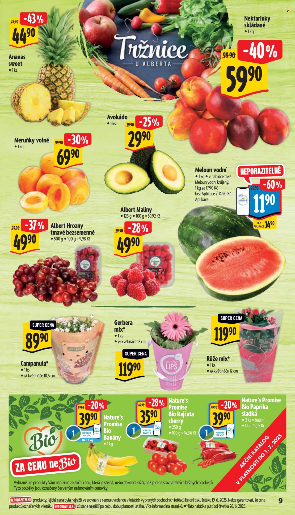 Leták Albert Supermarket - 25.6.2025 - 1.7.2025. Strana 14