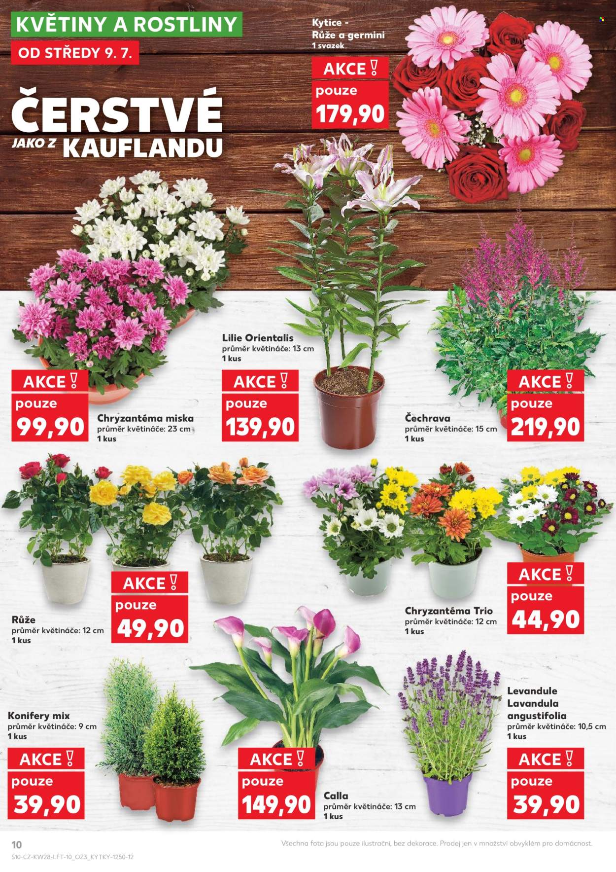 Leták Kaufland - 9.7.2025 - 15.7.2025. Strana 10