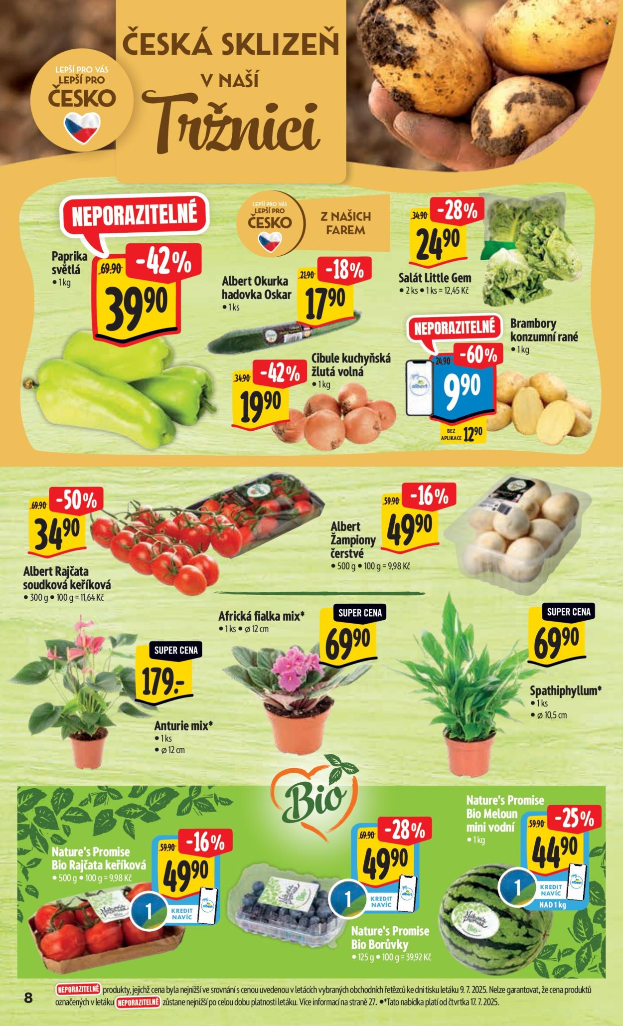 Leták Albert Hypermarket - 16.7.2025 - 22.7.2025. Strana 13