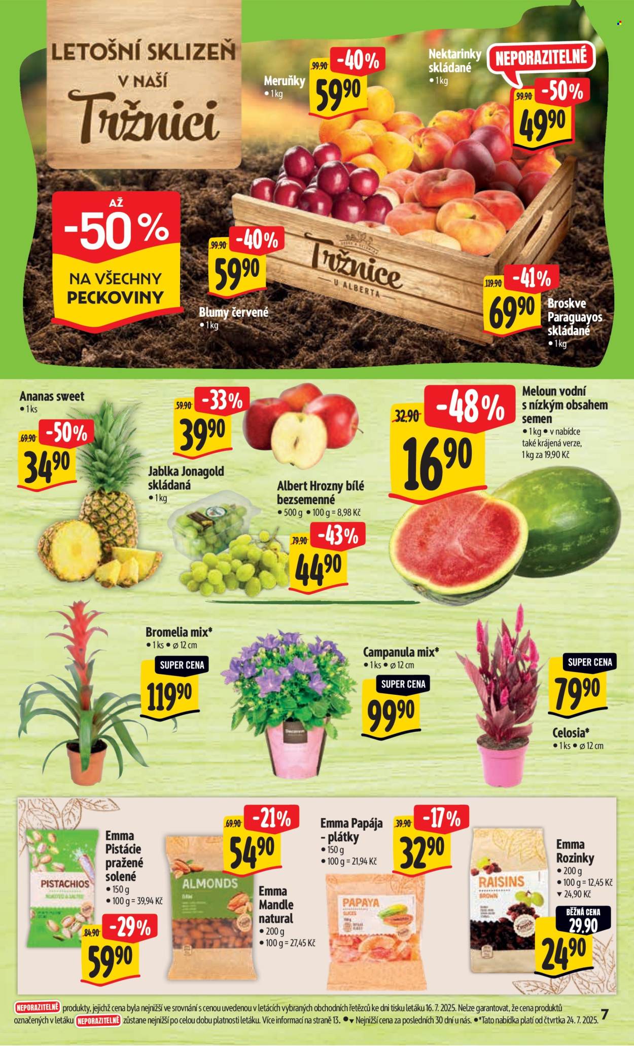 Leták Albert Hypermarket - 23.7.2025 - 29.7.2025. Strana 13