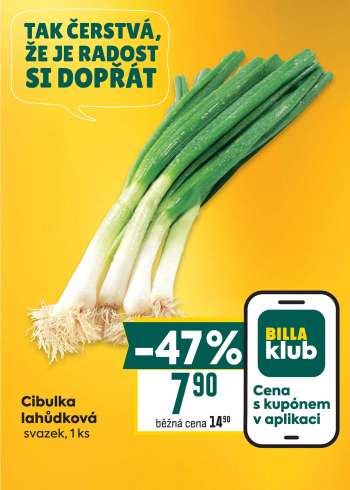 thumbnail - CIBULKA LAHŮDKOVÁ