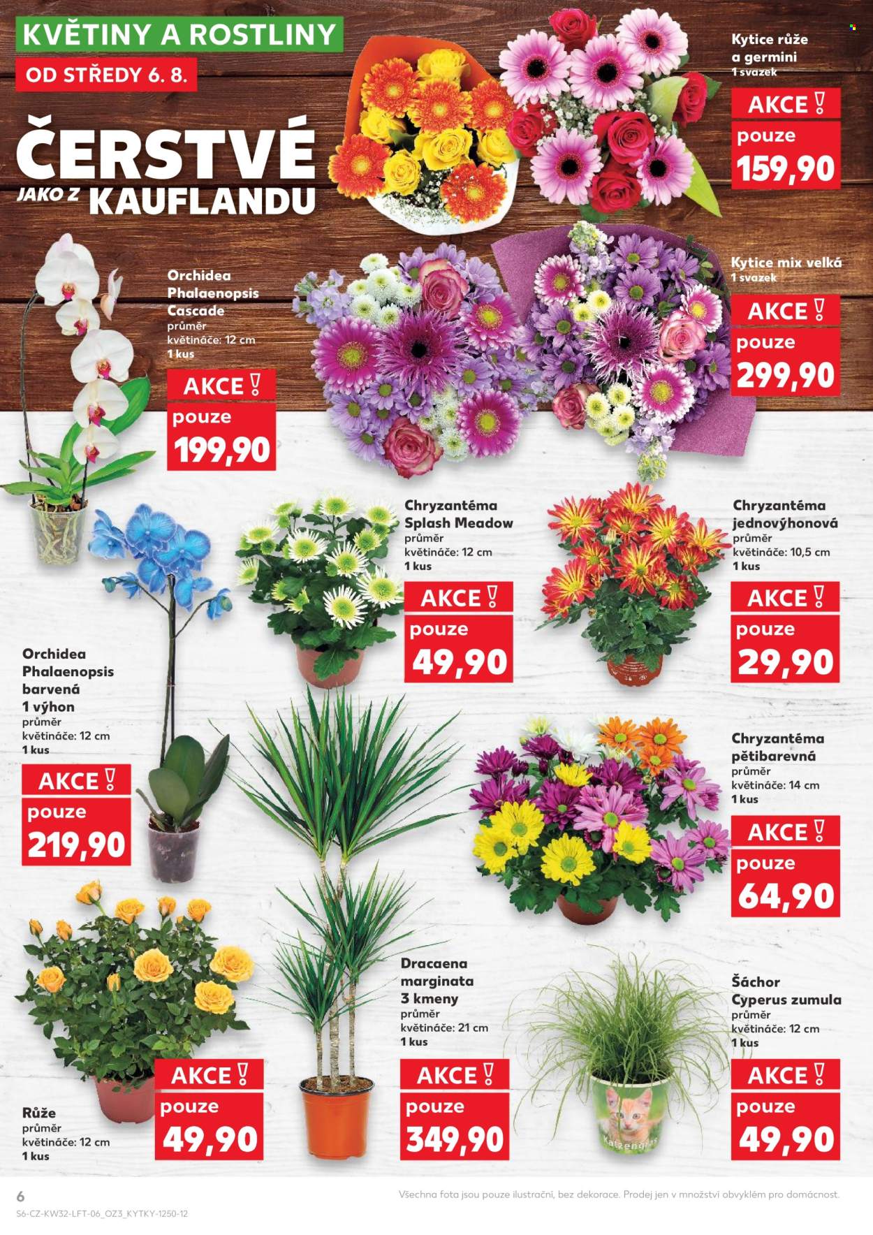 Leták Kaufland - 6.8.2025 - 12.8.2025. Strana 6