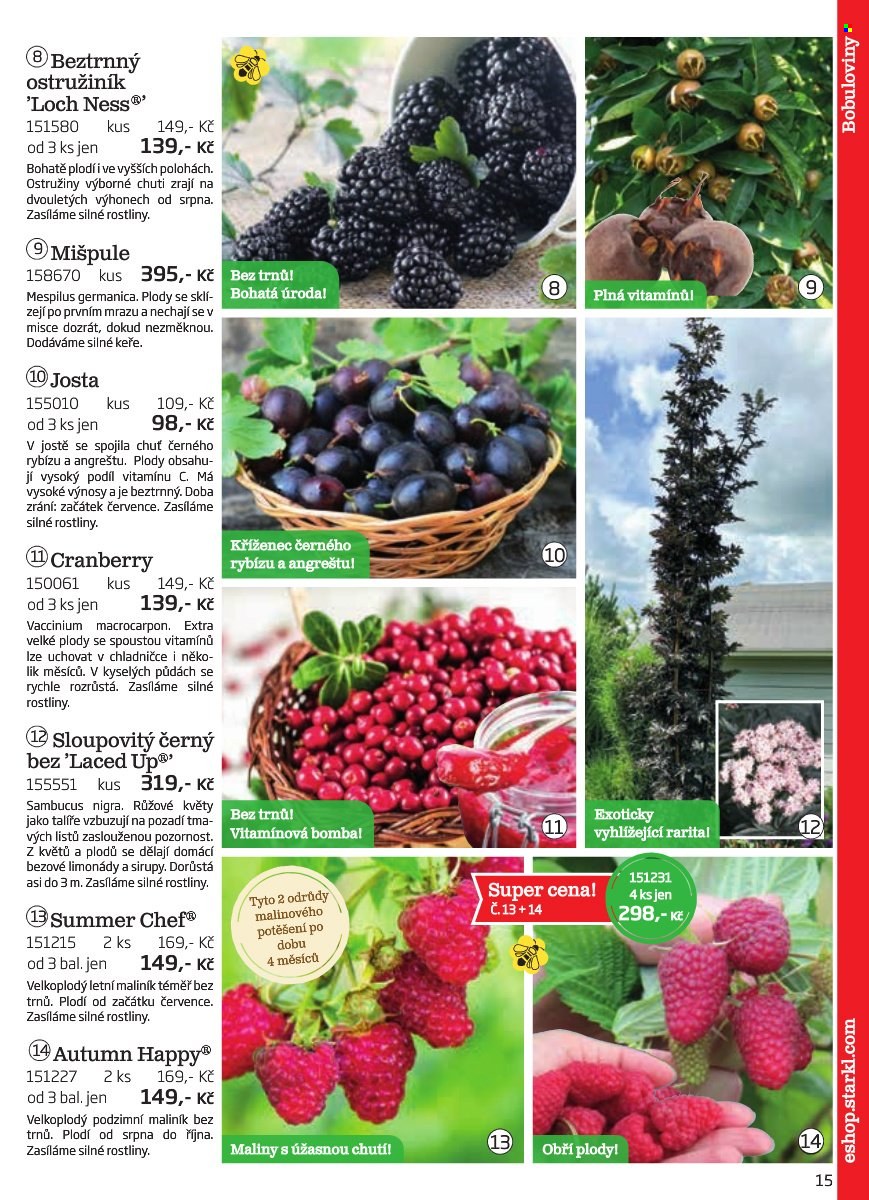 Leták Starkl. Strana 15